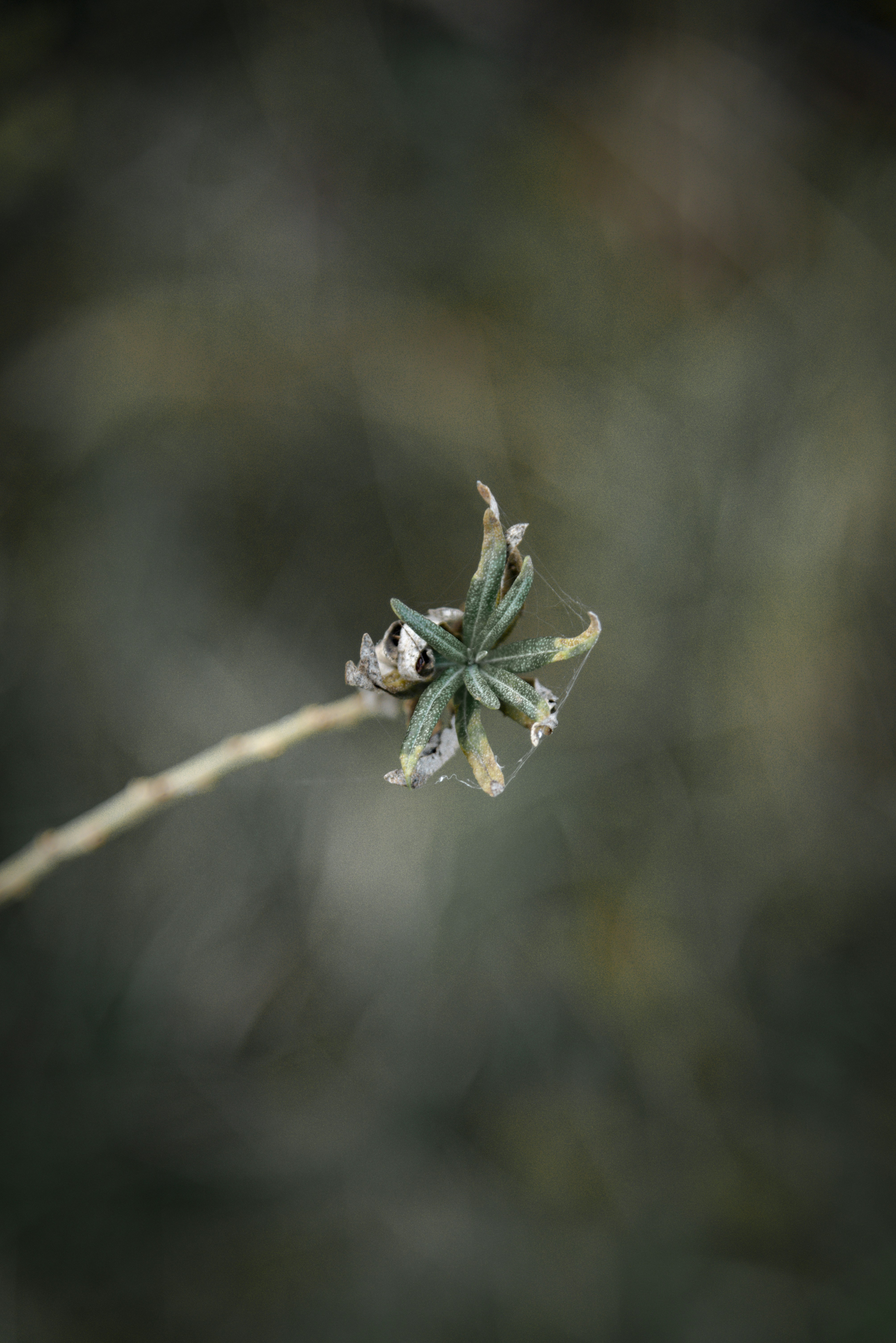 Photo by malwinanogaj