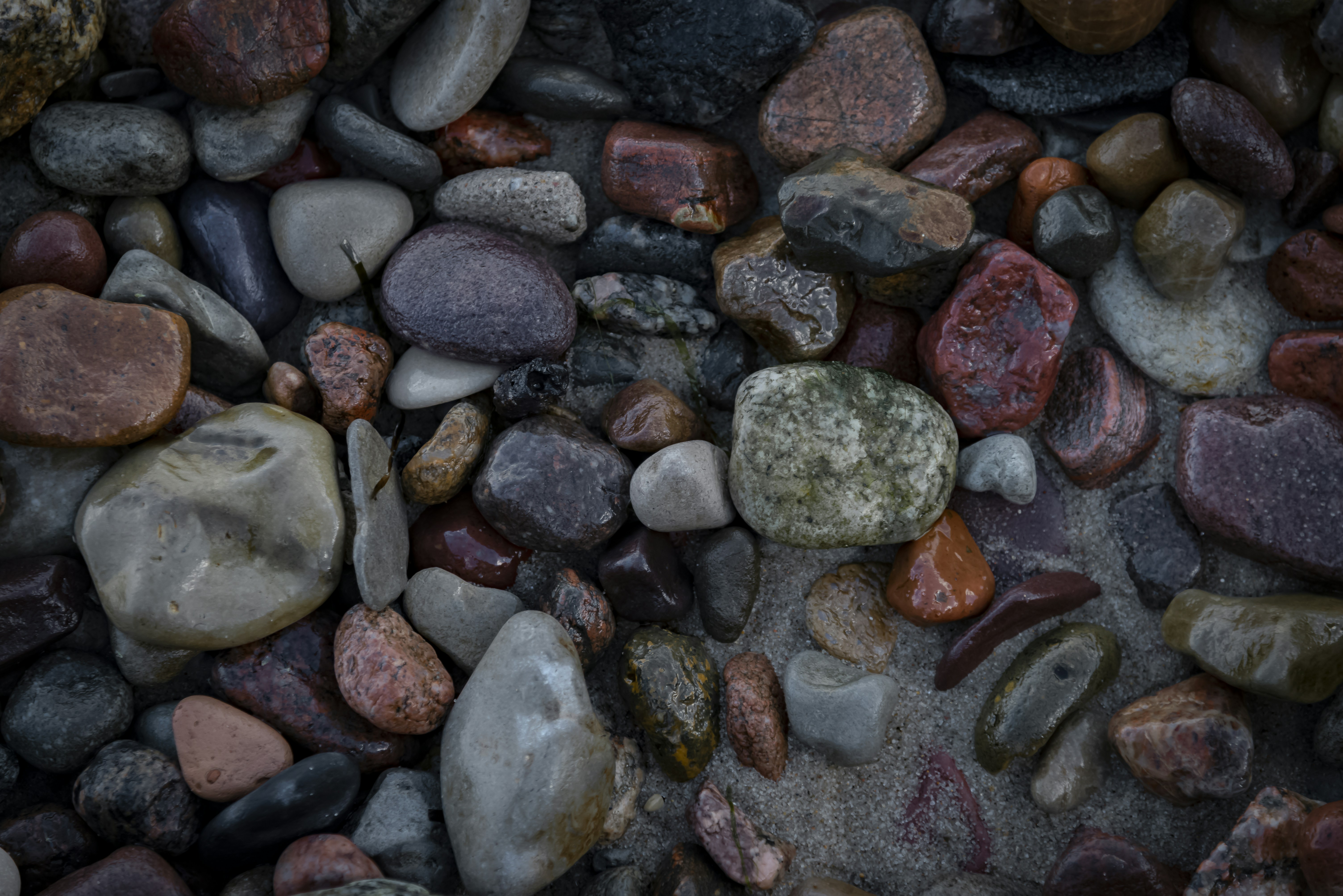 Photo by malwinanogaj