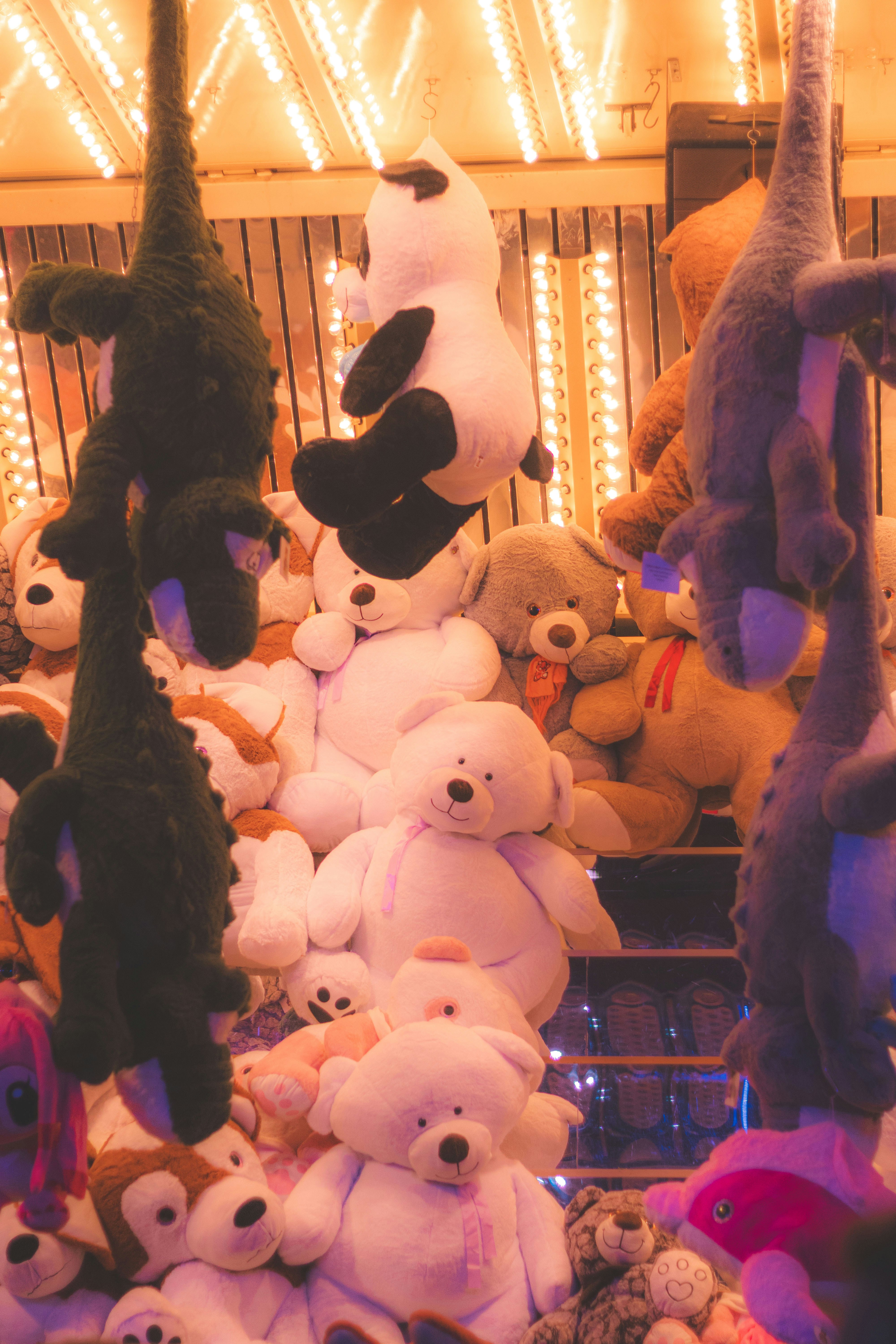 Photo by arlindphotography