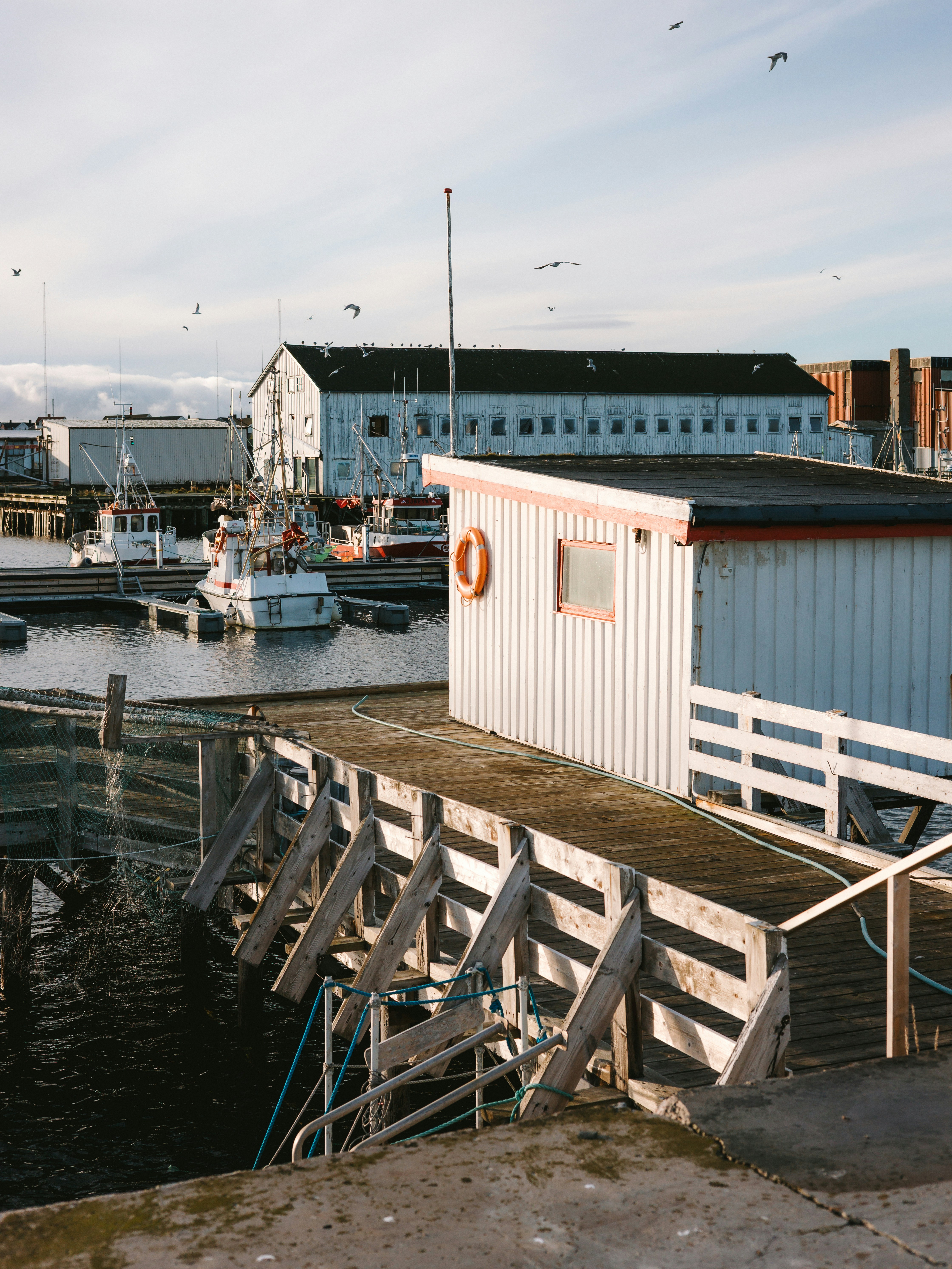 Boats docked at a harbor with buildings and pier.