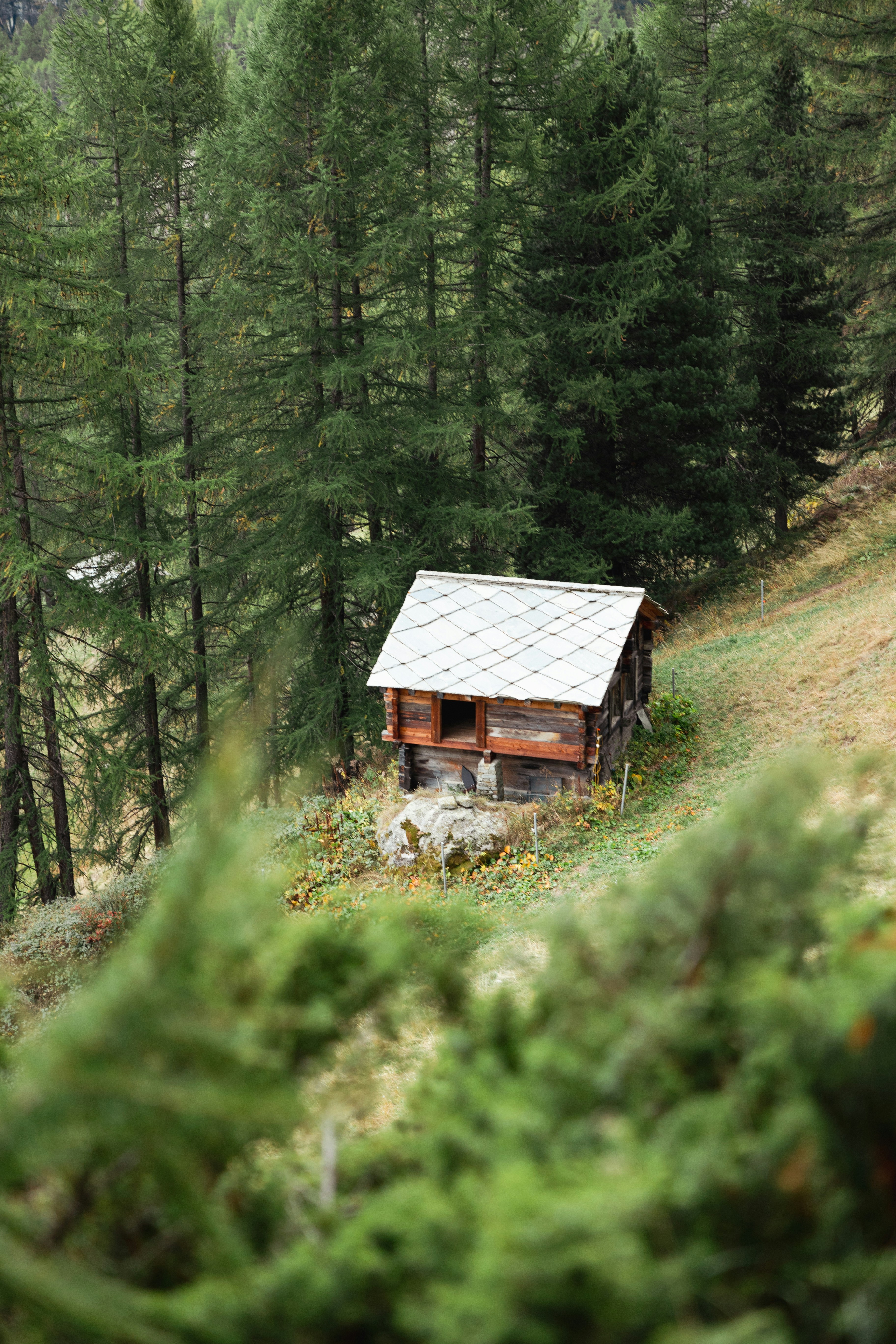 Photo by michael_surazhsky