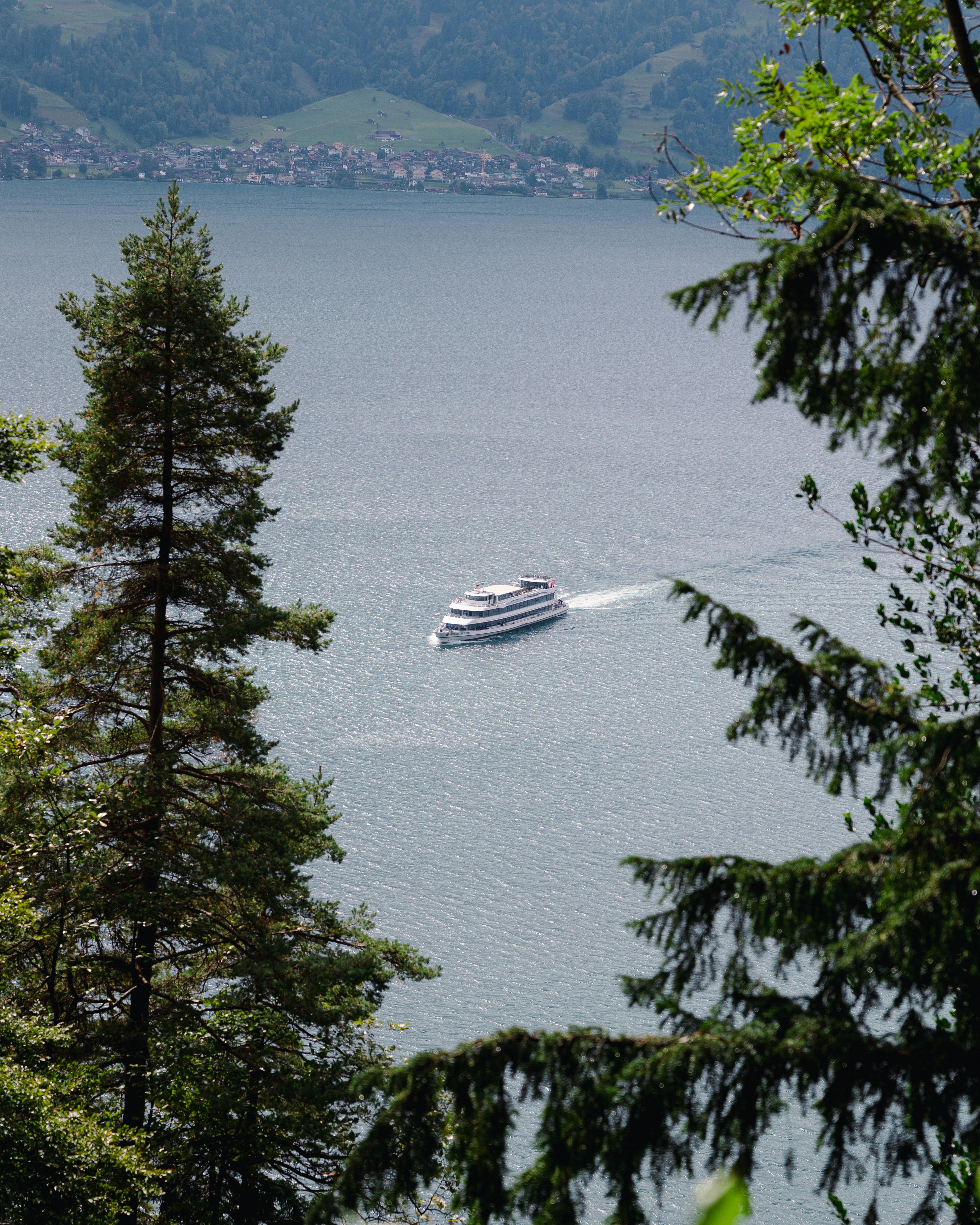 Photo by michael_surazhsky