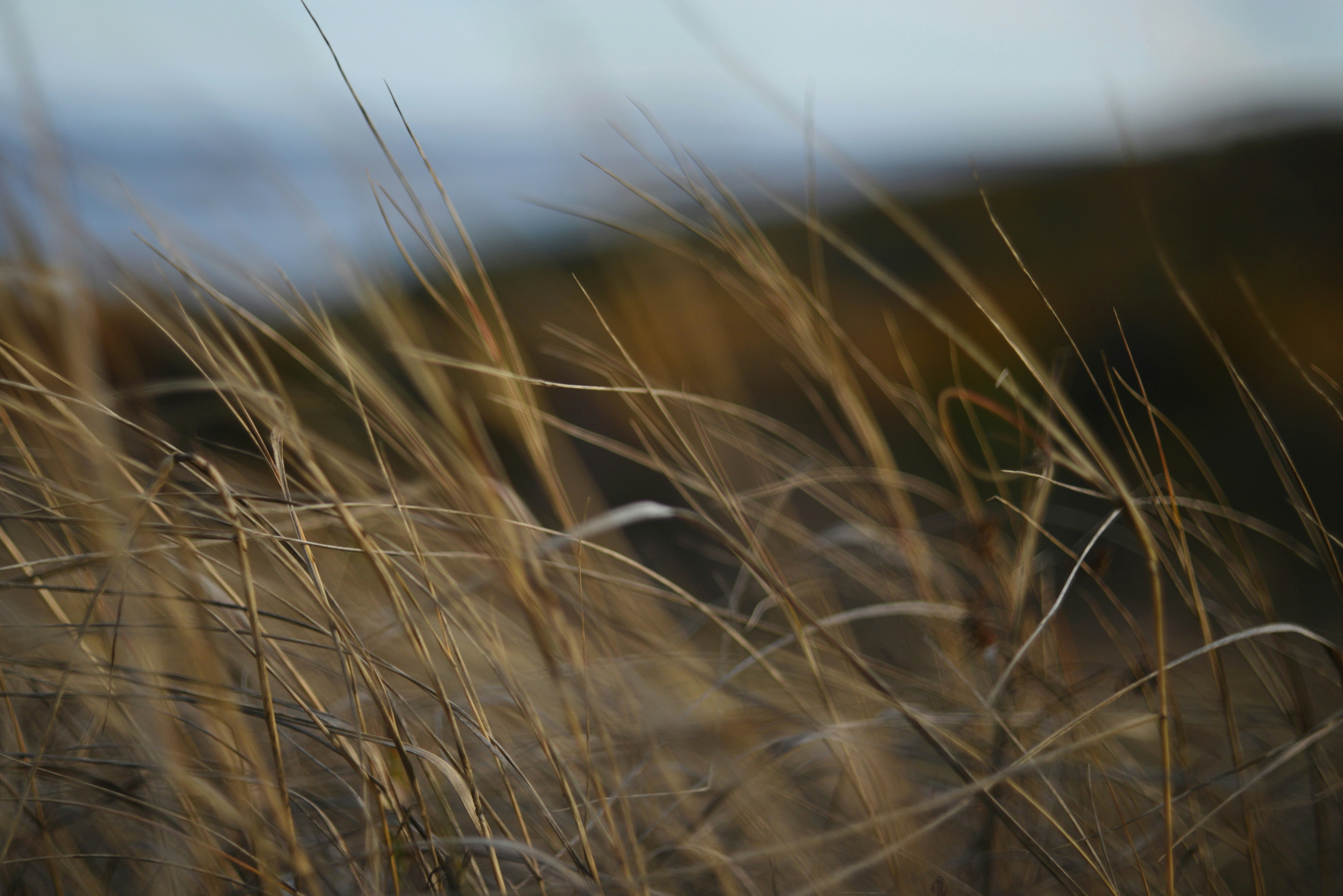 Photo by cherstve_pechivo