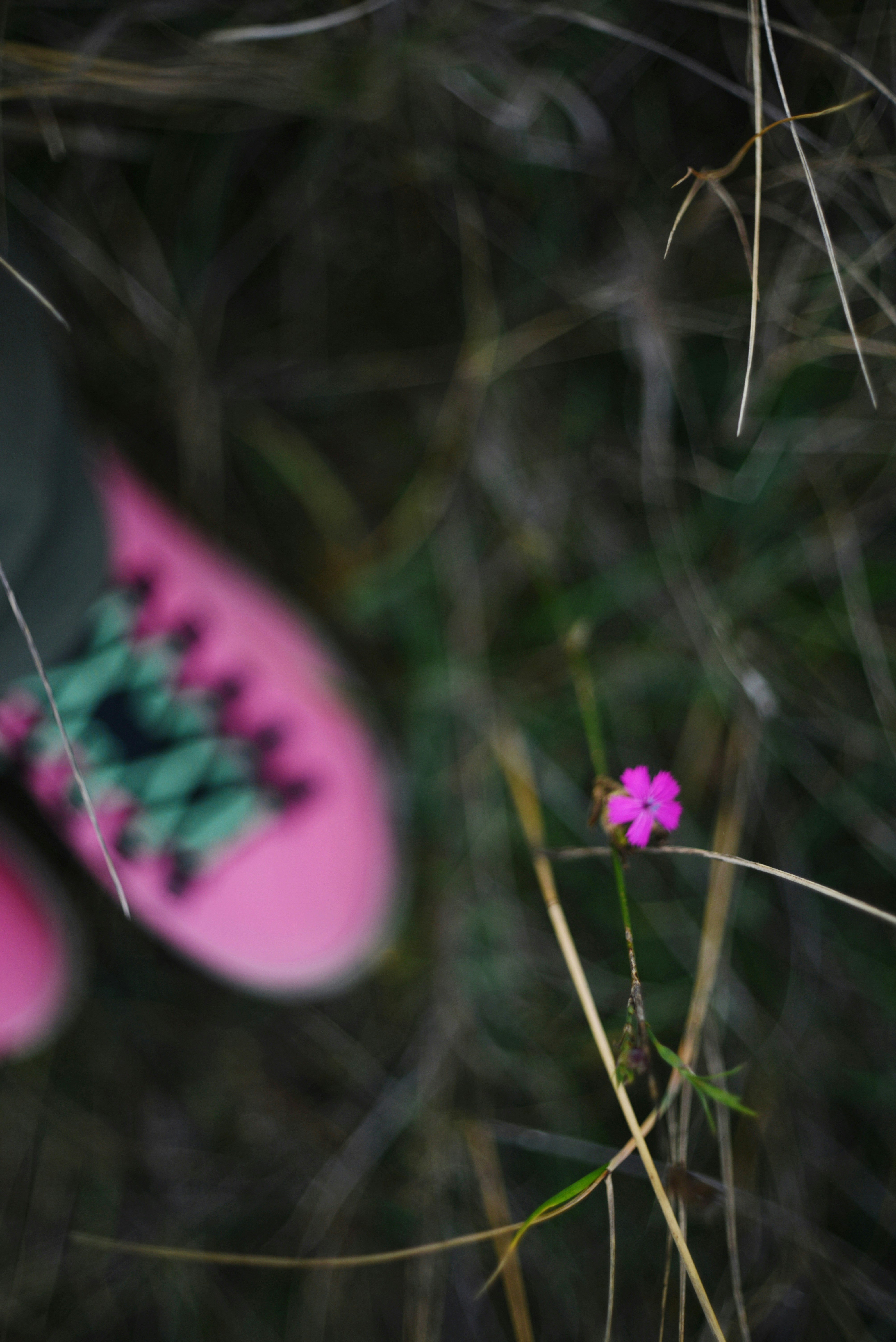 Photo by cherstve_pechivo