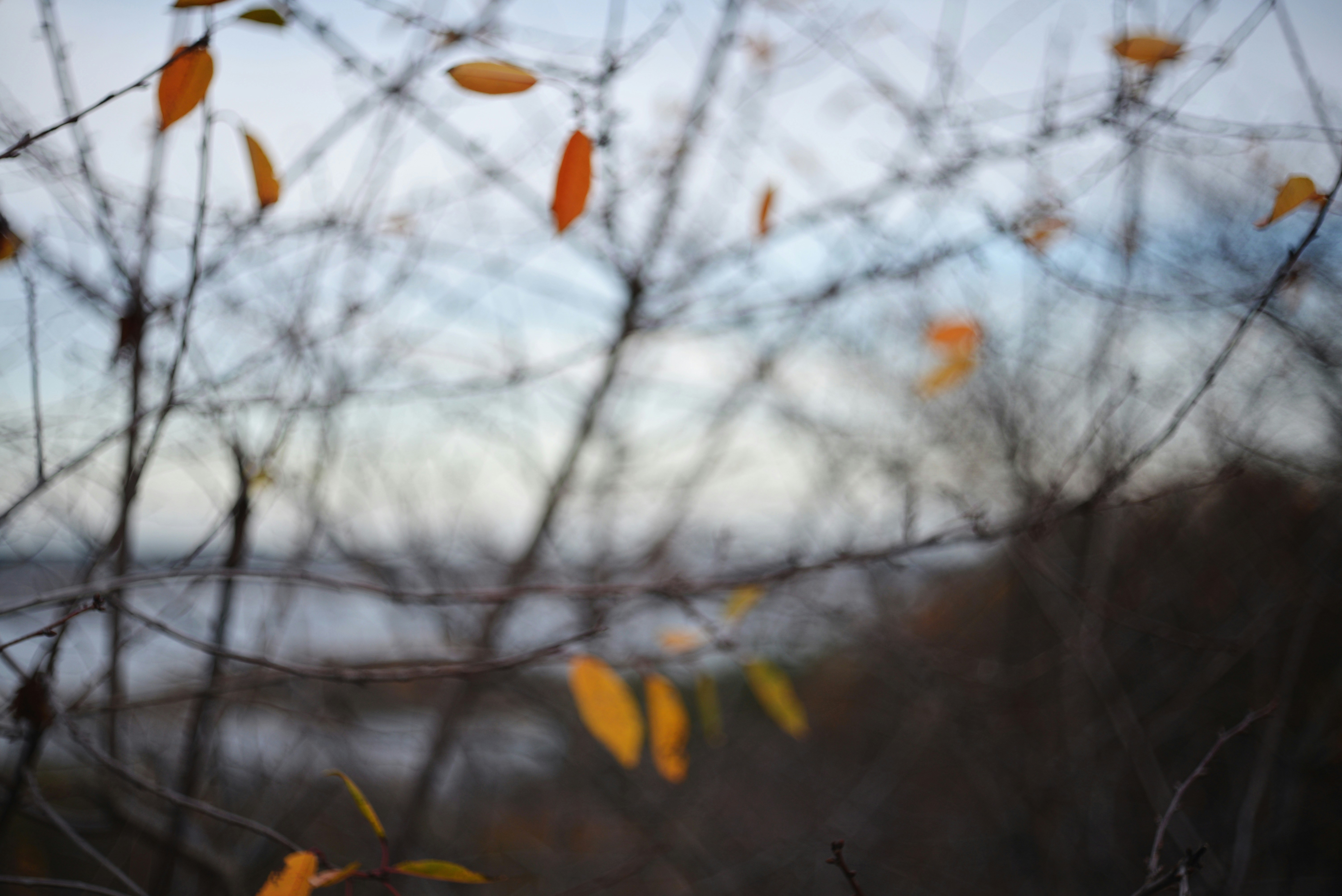 Photo by cherstve_pechivo