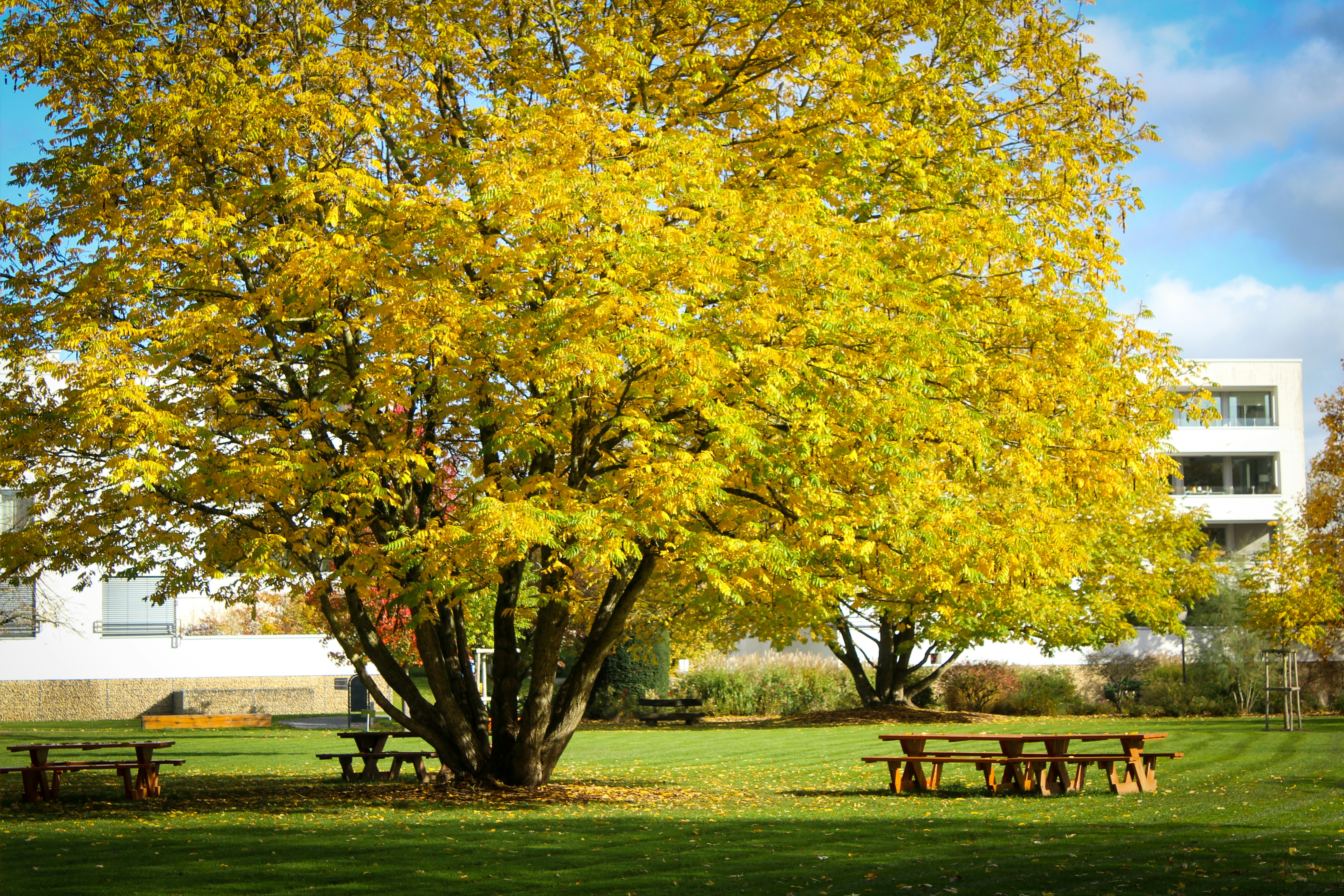 Photo by feliciafelicia