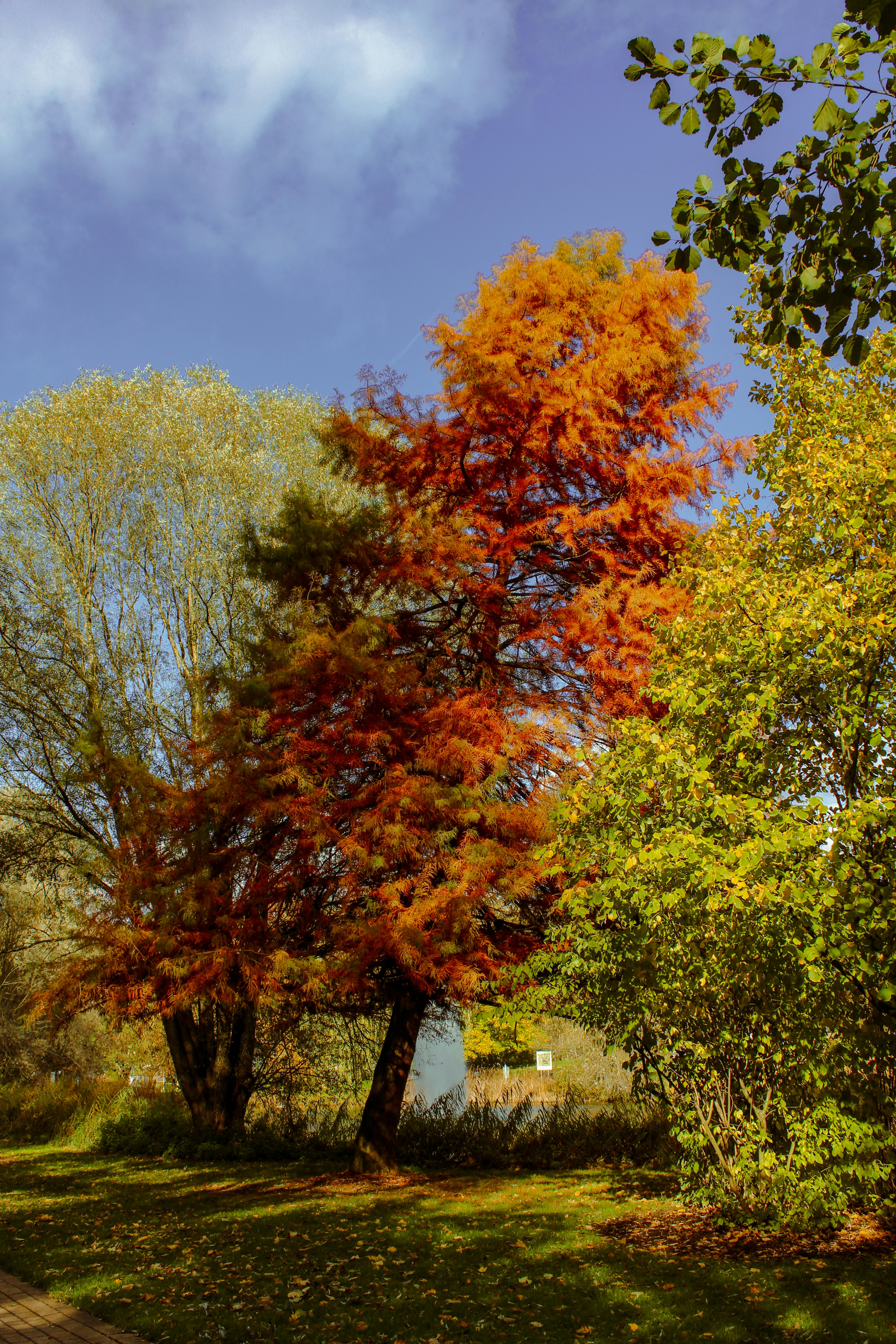 Photo by feliciafelicia