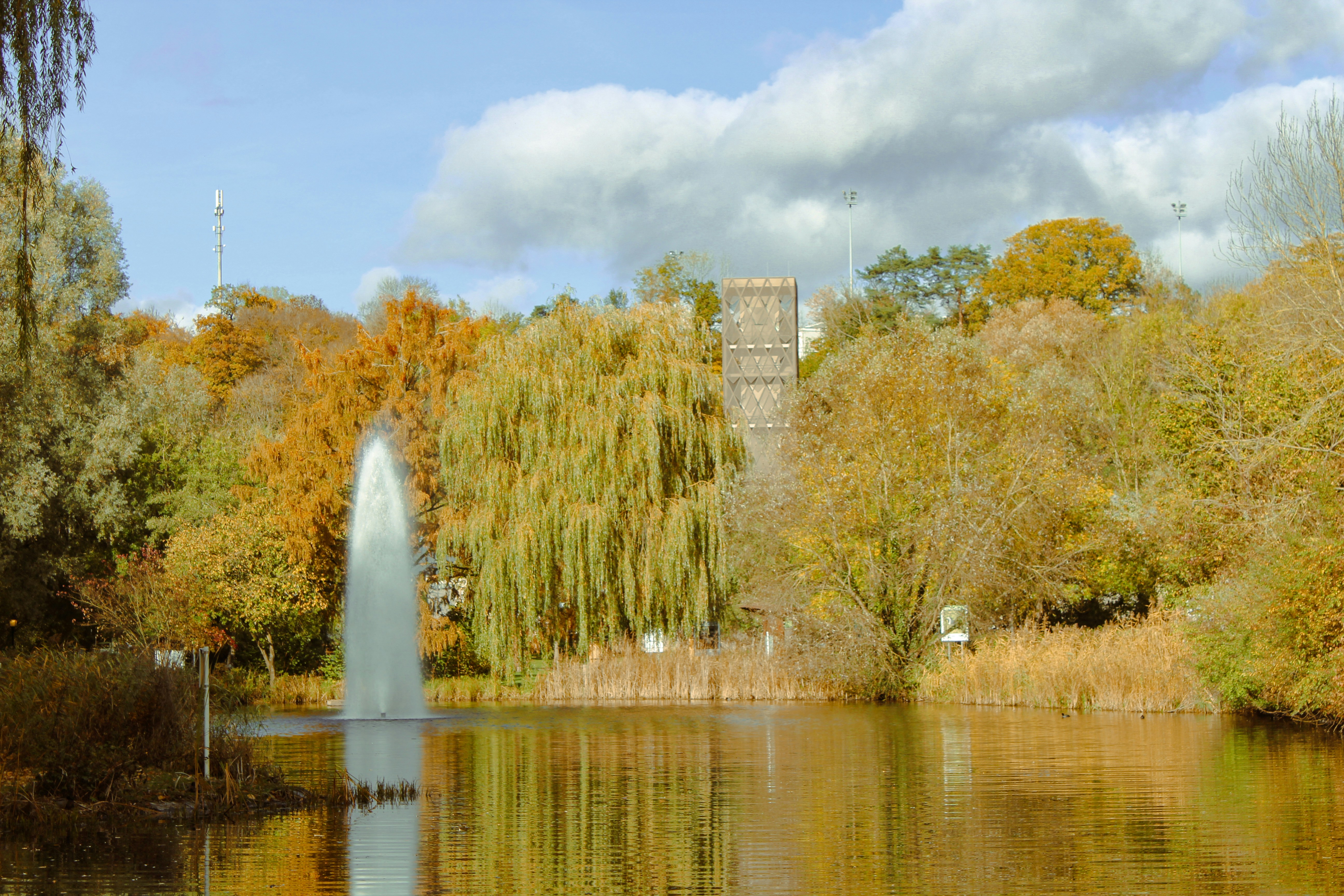 Photo by feliciafelicia