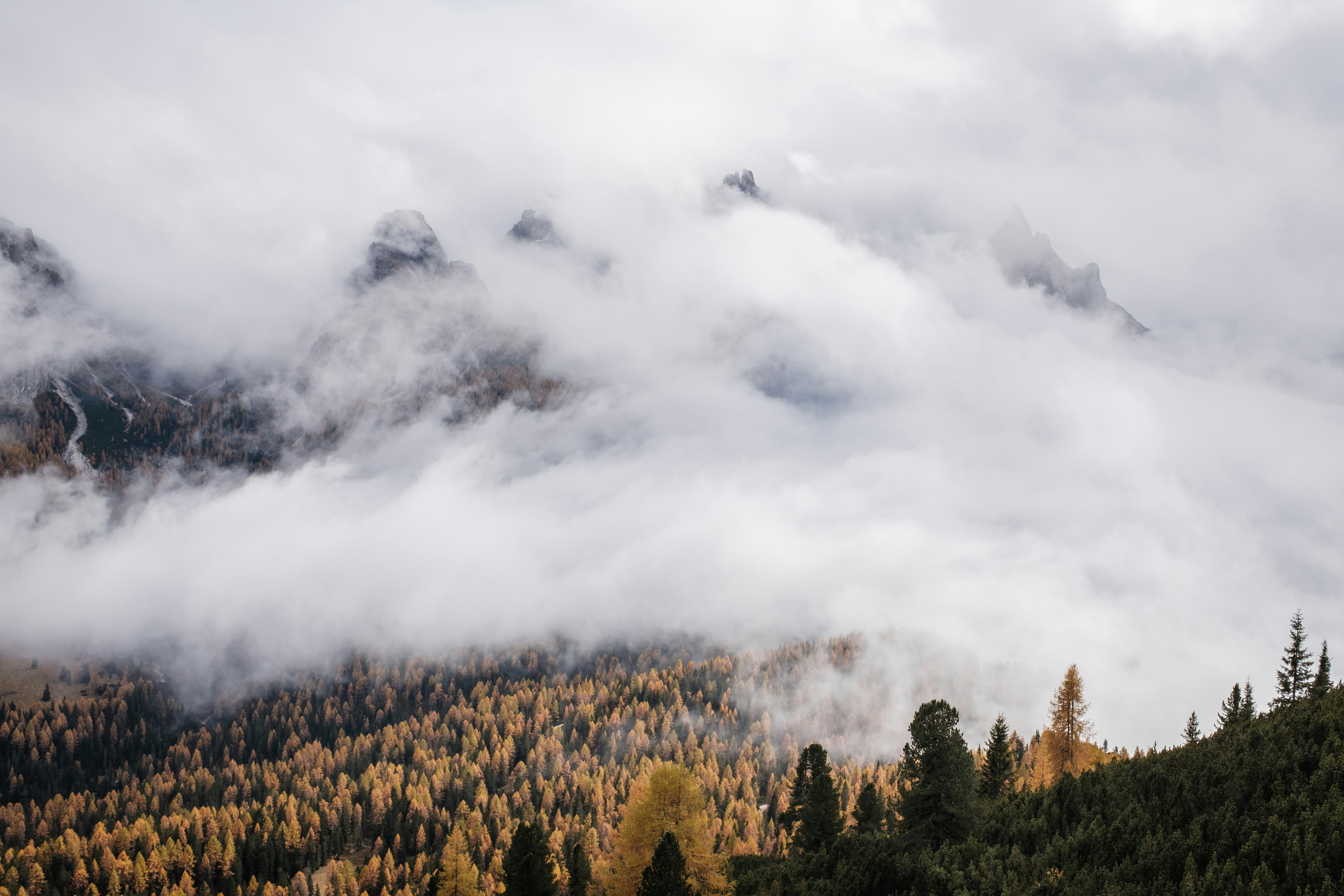 Photo by tomashirsch