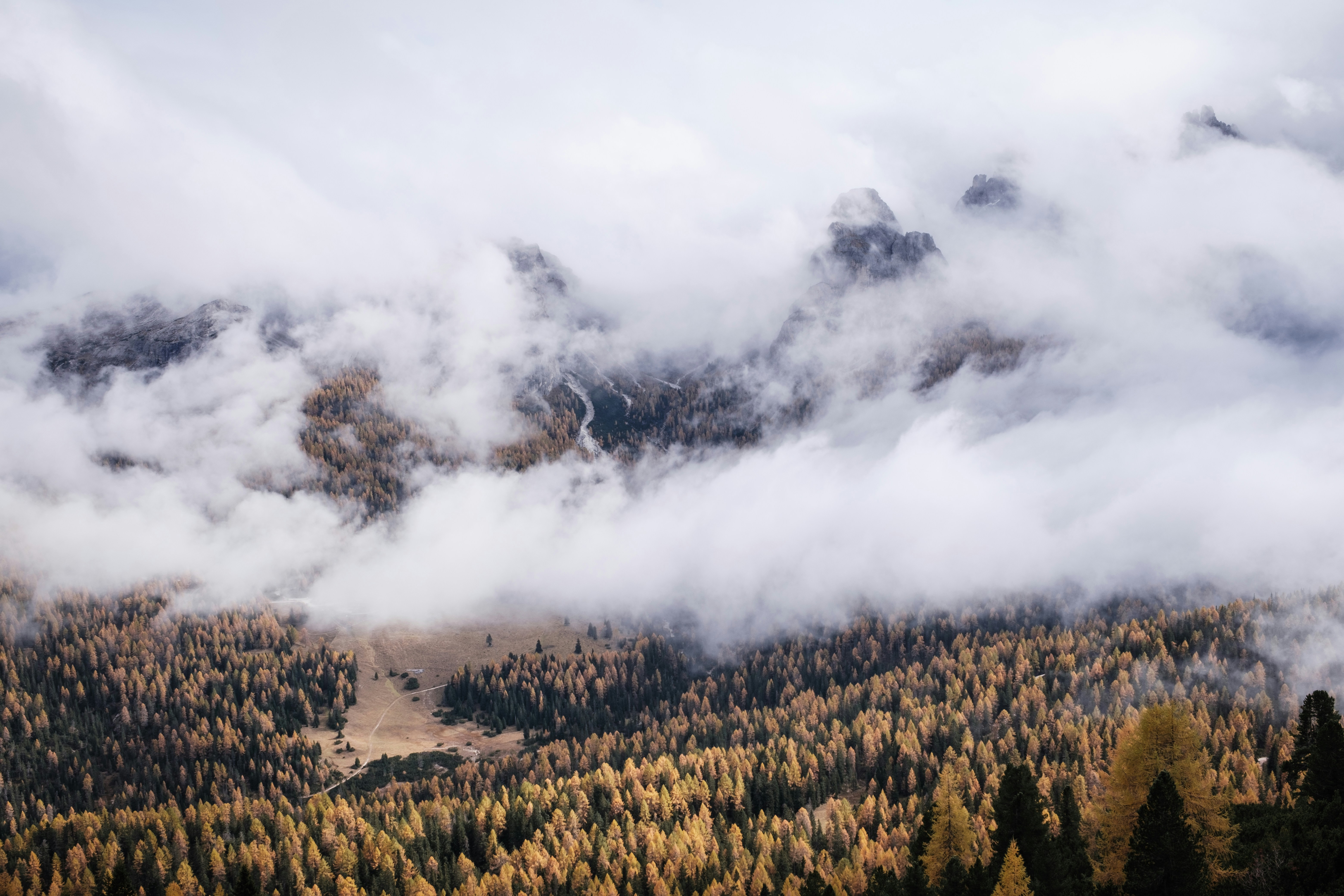 Photo by tomashirsch