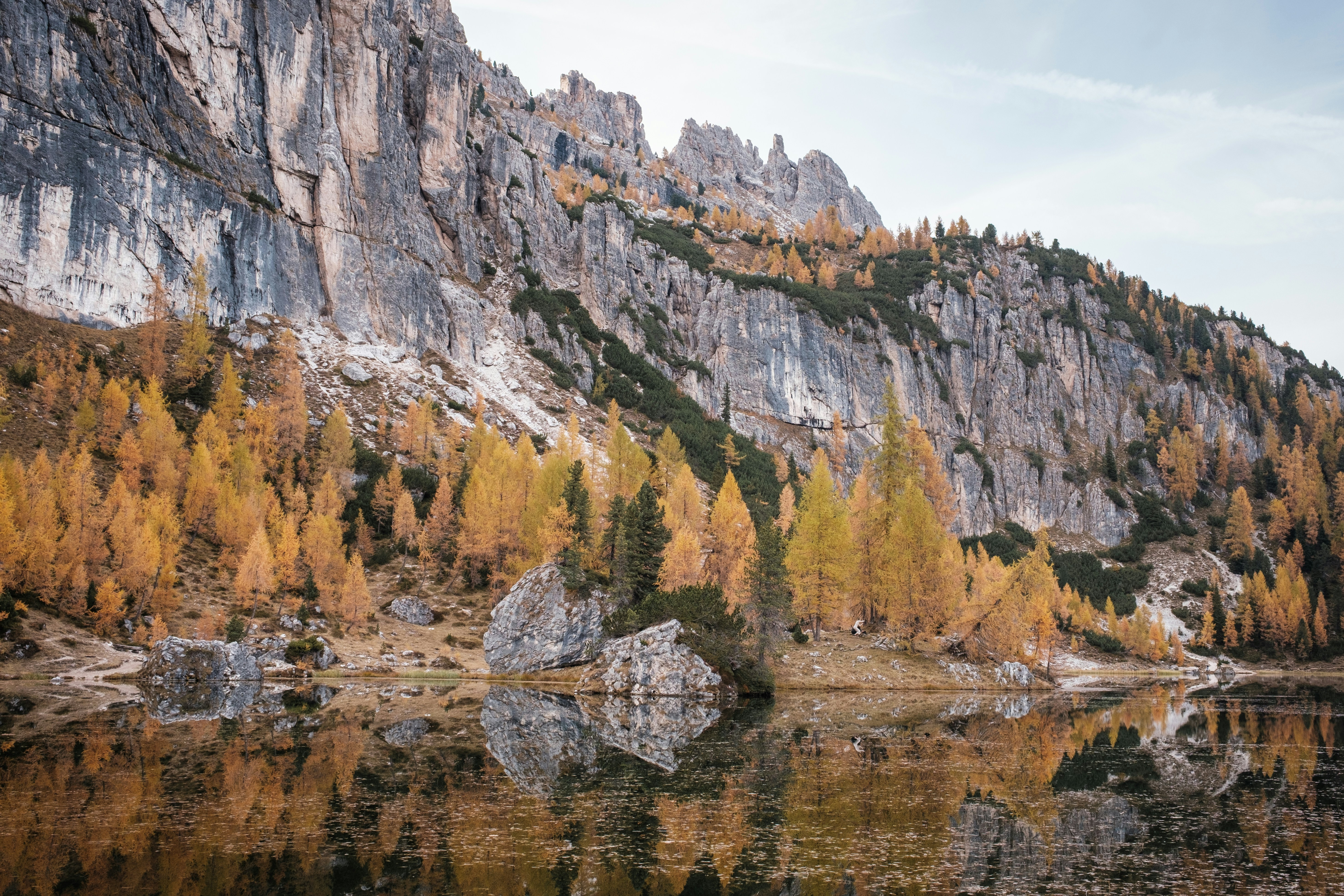 Photo by tomashirsch