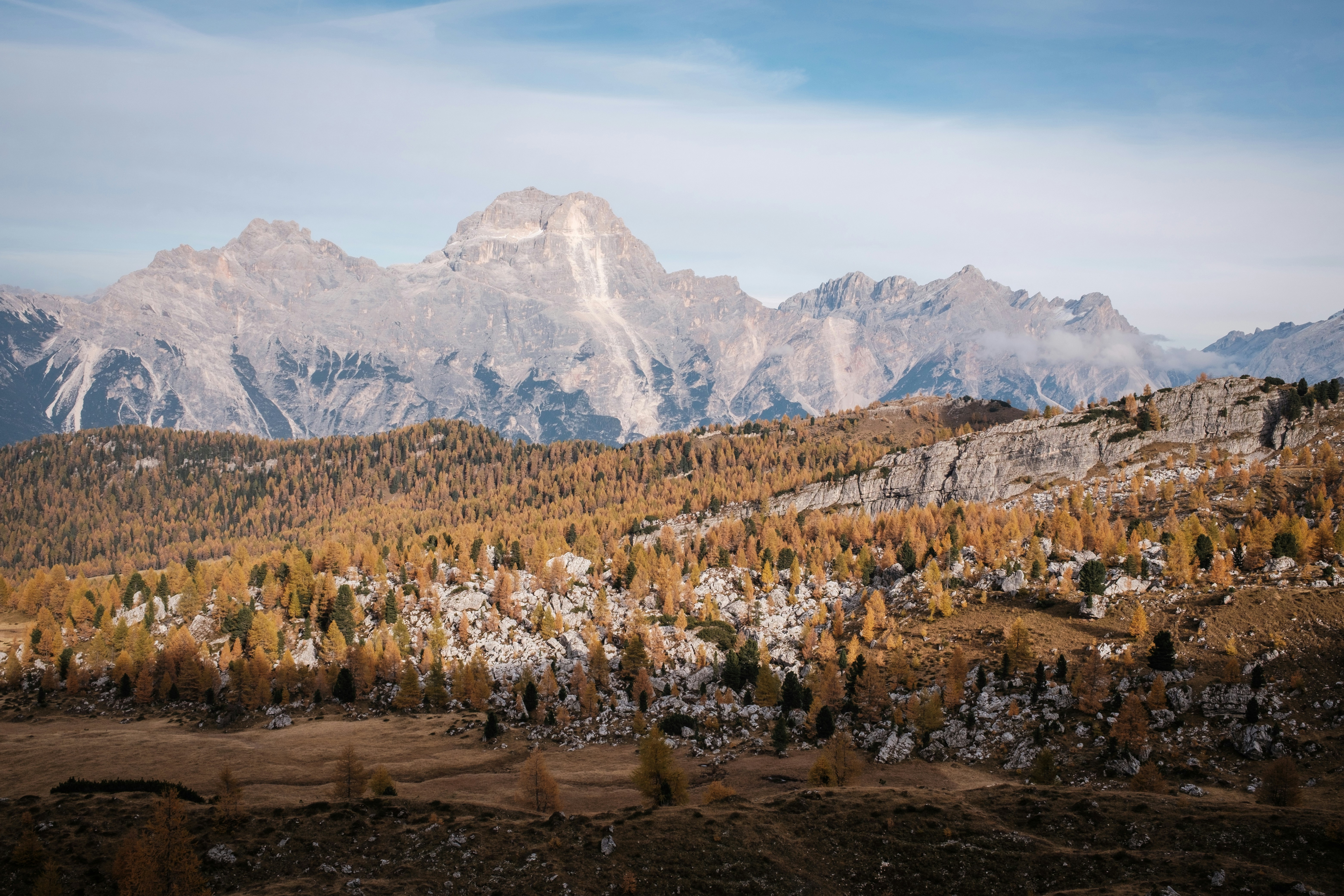 바위산을 배경으로 한 가을 숲