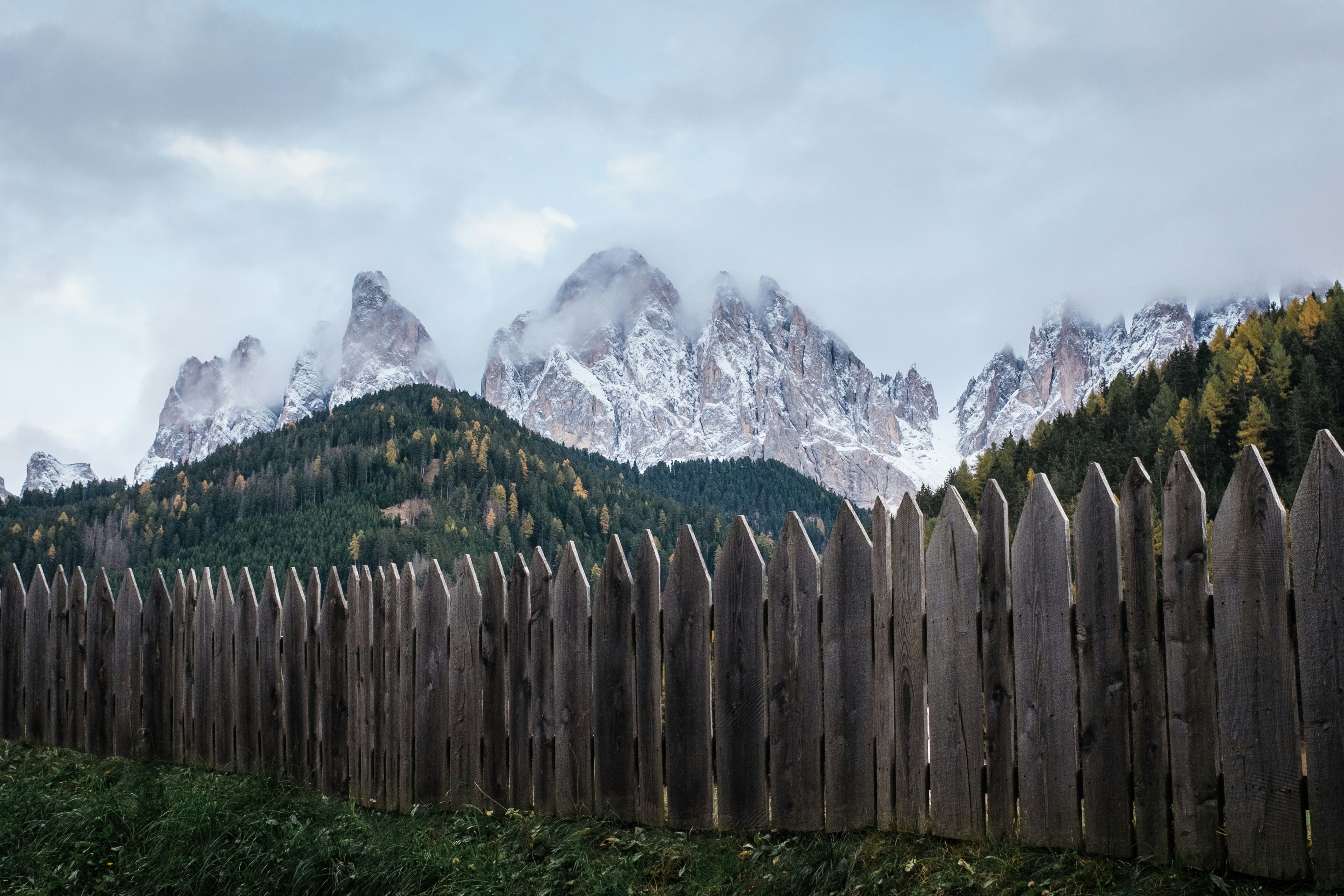 안개 낀 산을 배경으로 한 나무 울타리.