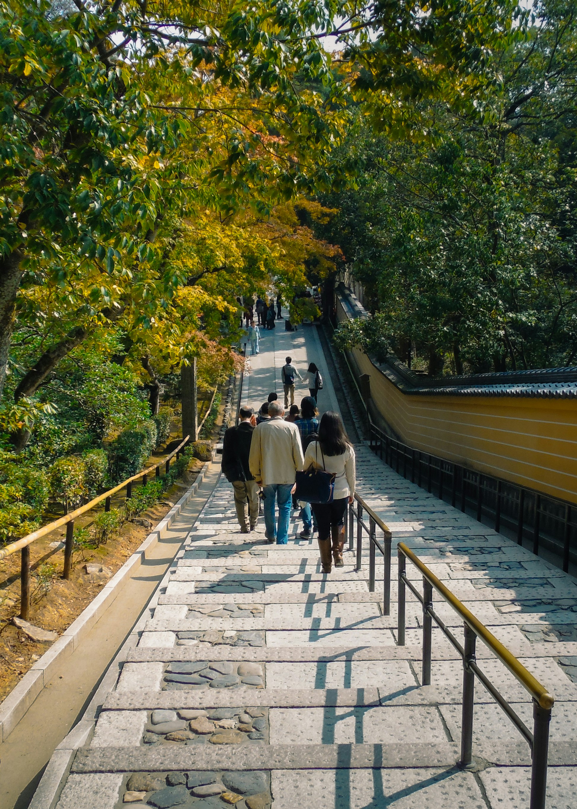 People walking up stone stairs lined with trees.