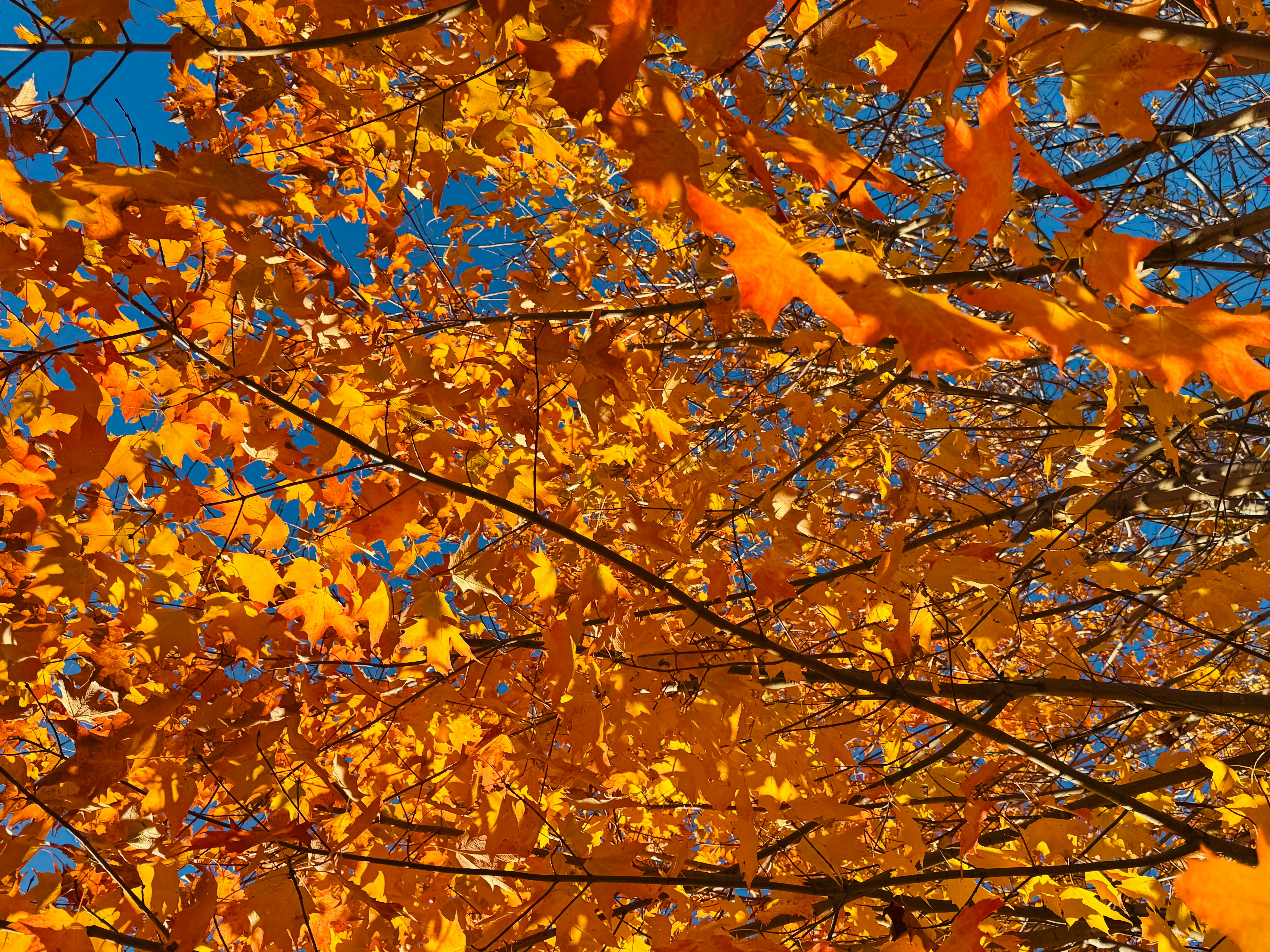 Photo by payalbadhran