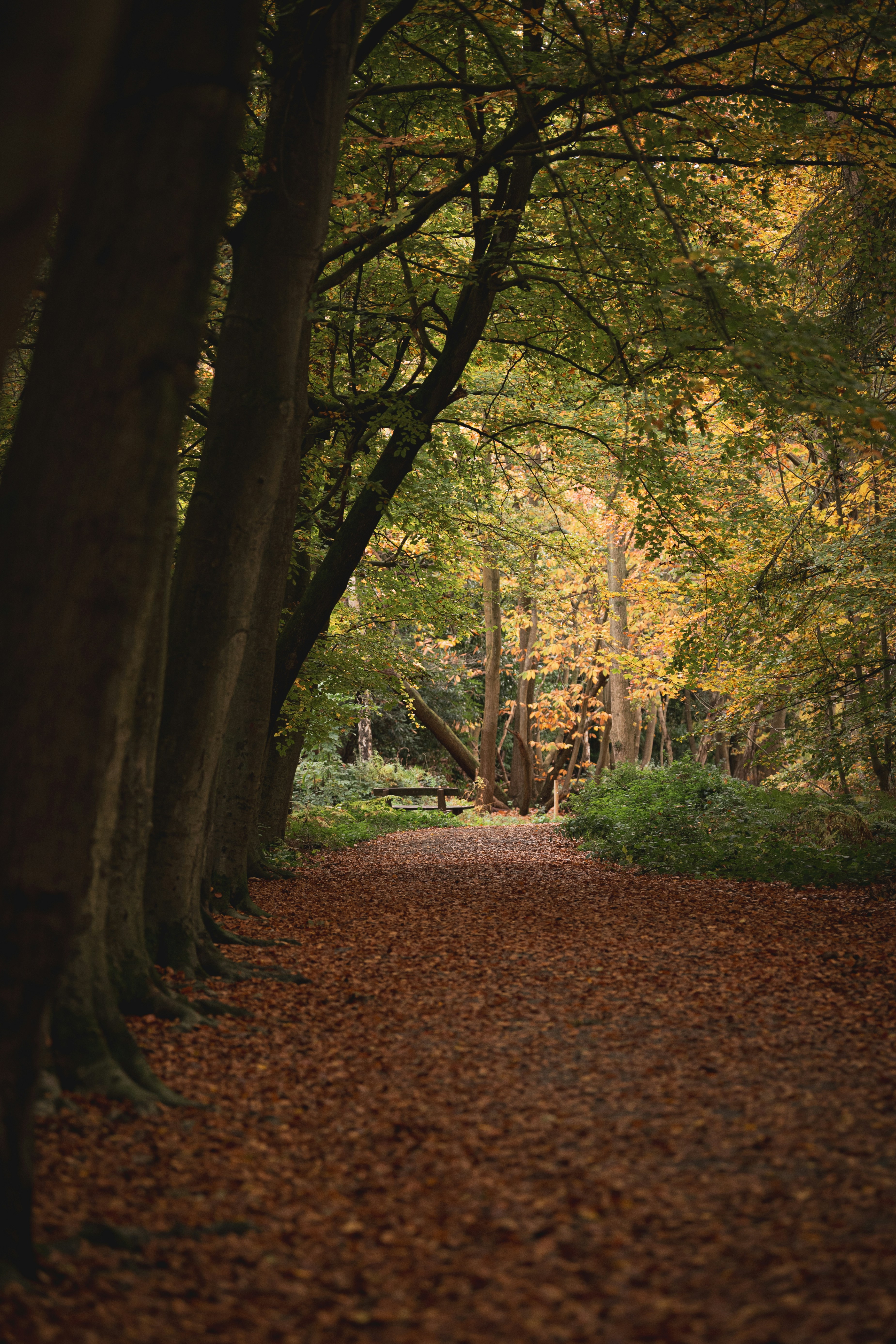 Photo by ellyendeavours