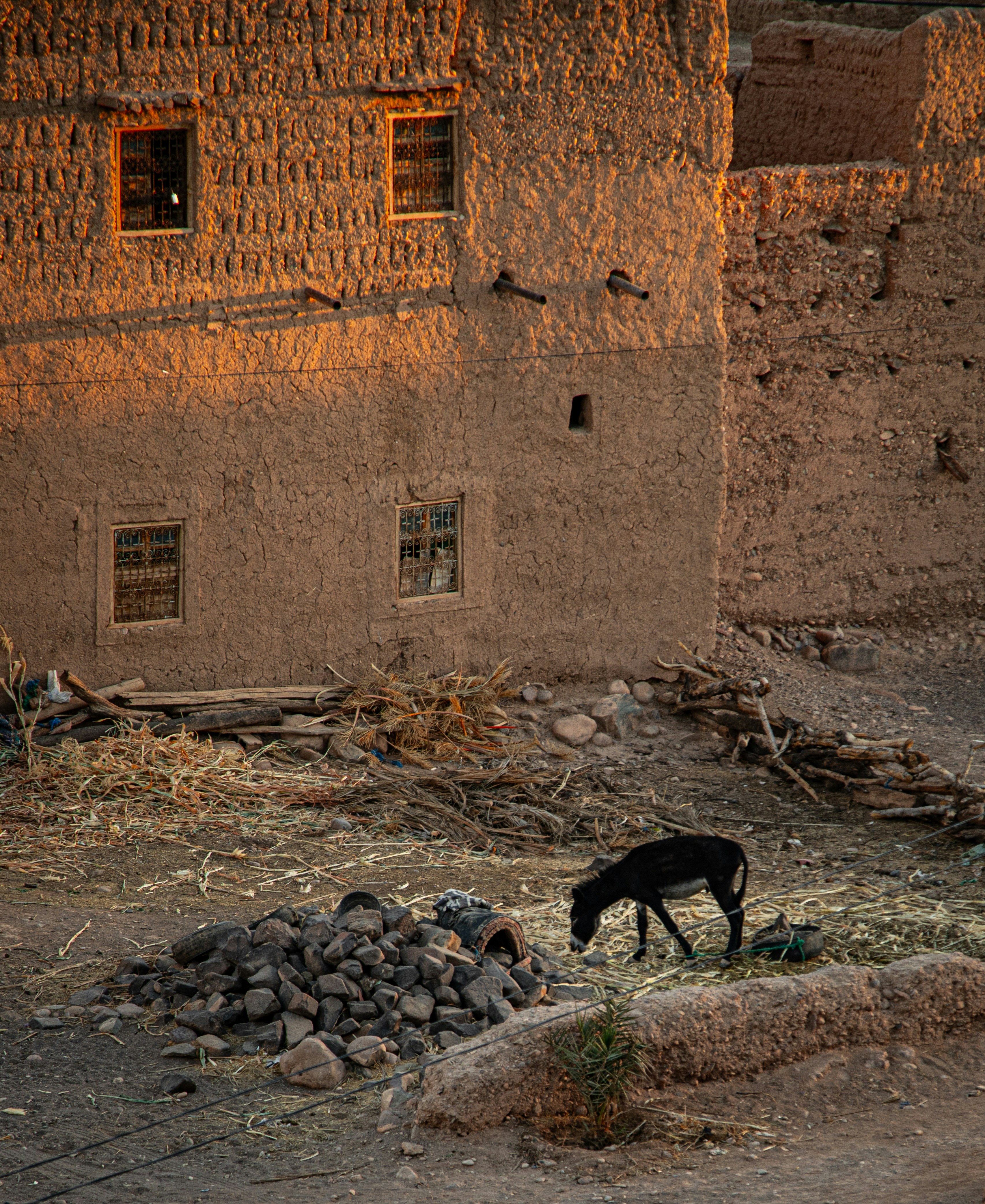 maghreb landscape