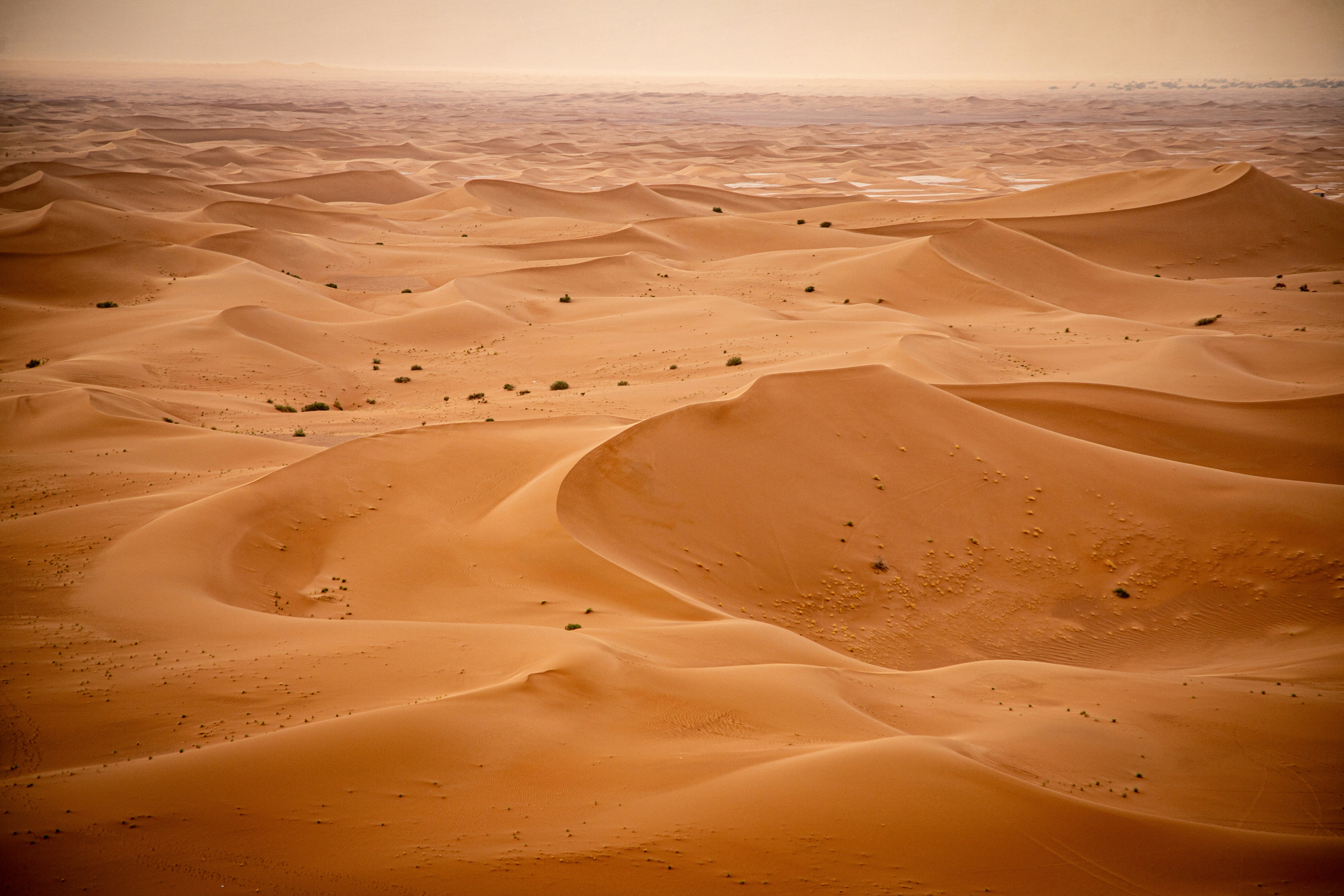 Golden sand dunes stretch across a vast desert landscape.