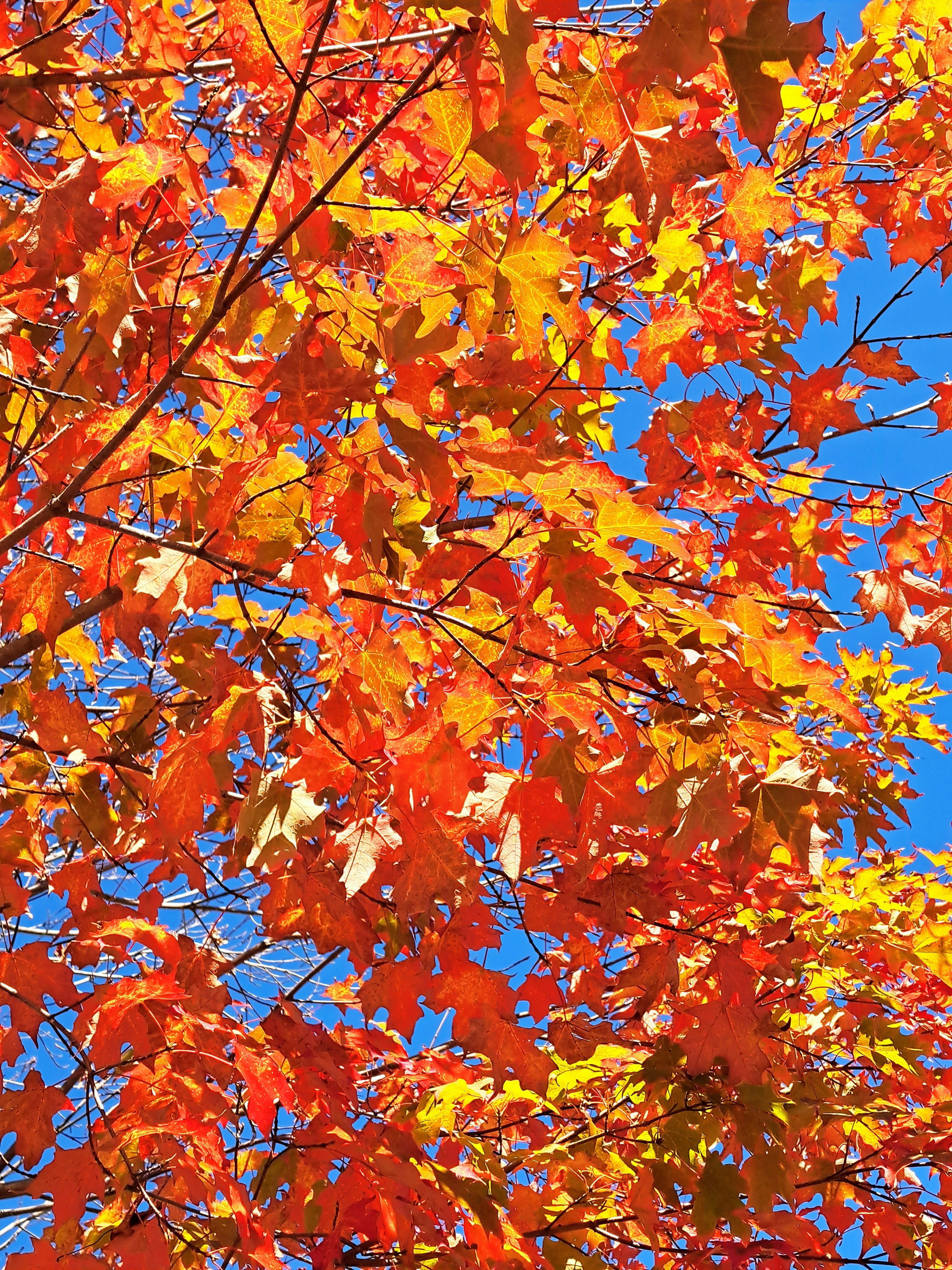 Photo by 41momentintime