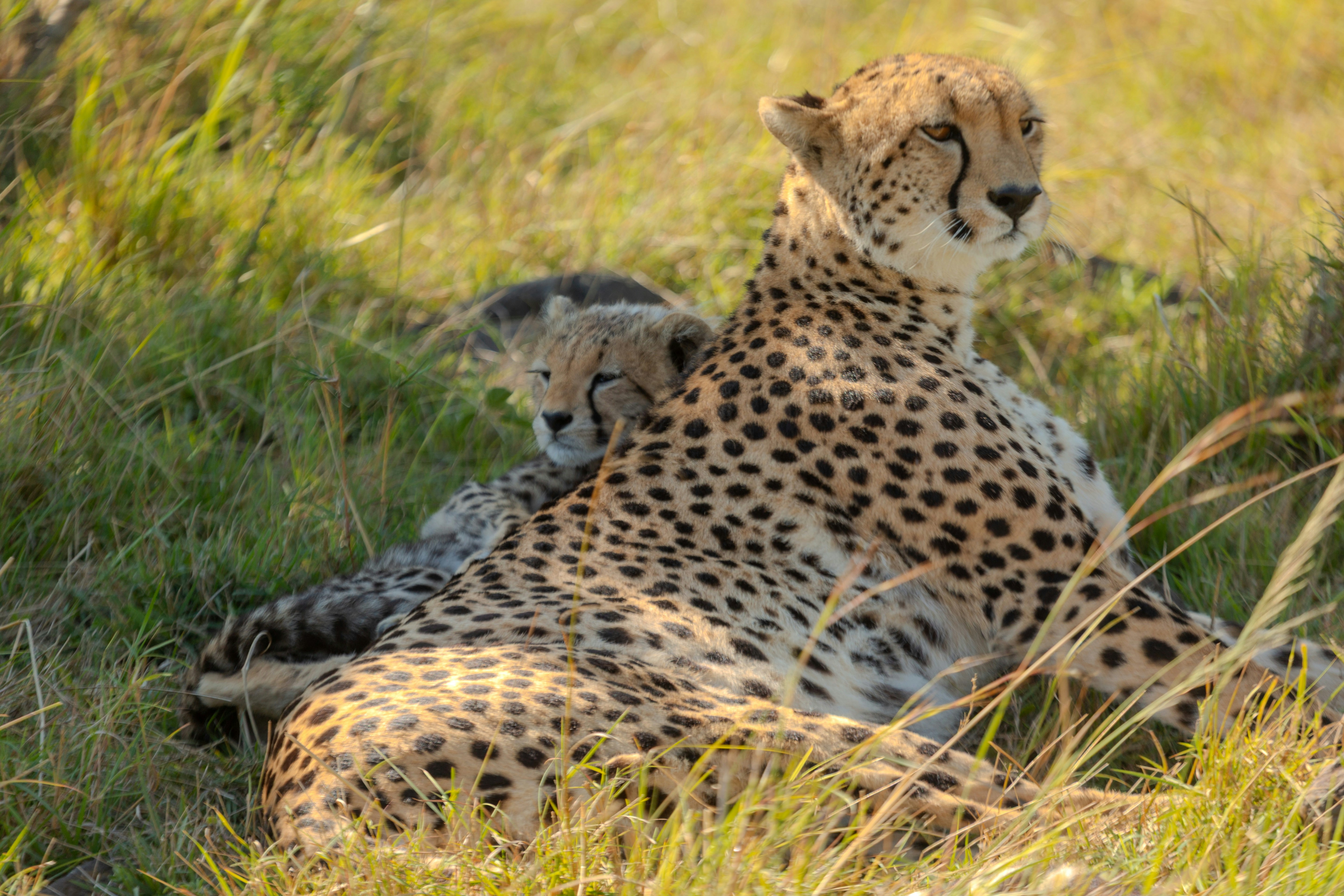 Photo by italypaleale