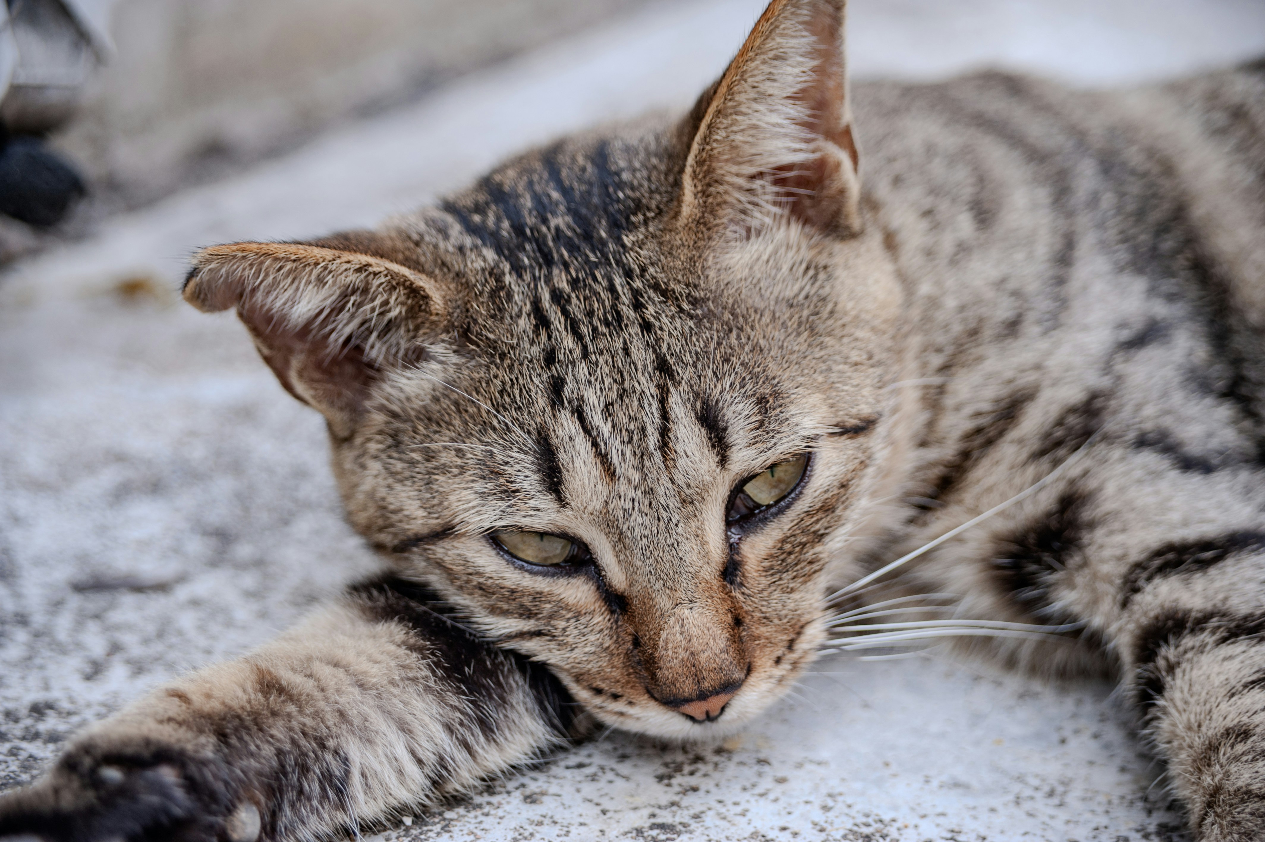 Photo by kevinwang413156