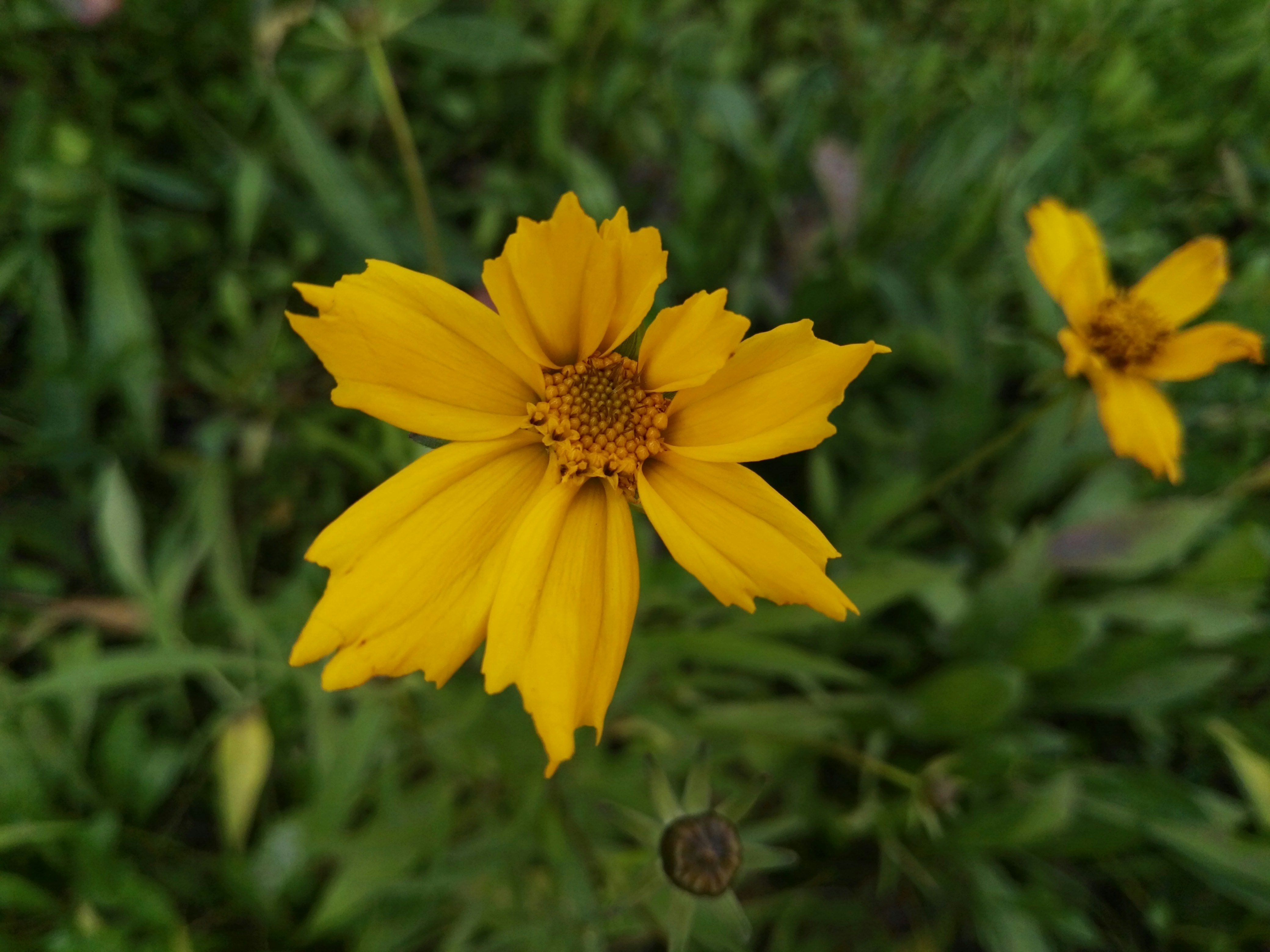 Photo by kevinwang413156