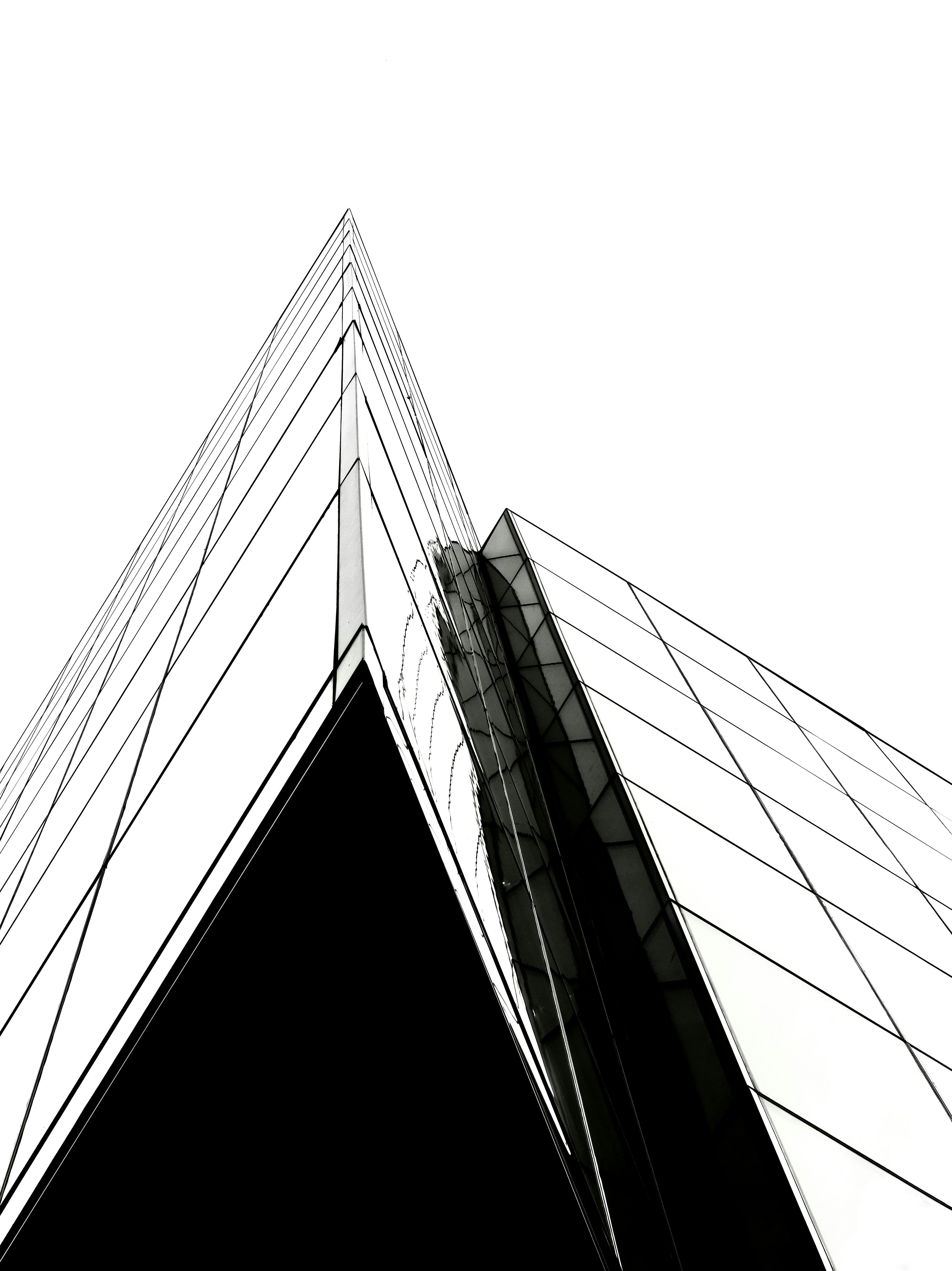 Photo by sschusterphotoart