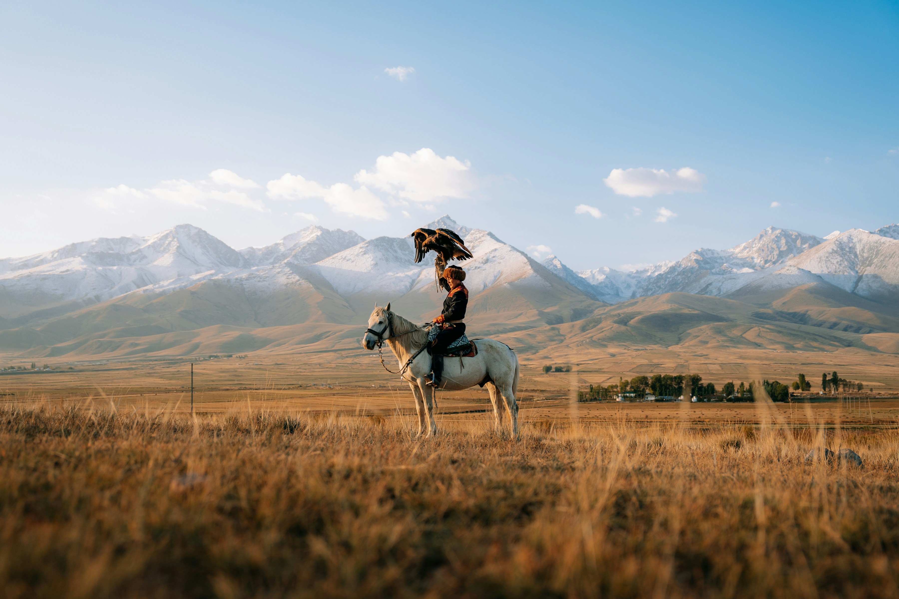 5 Laws That Will Help The Durable Window Handle Replacement Industry