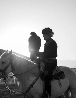 Man in traditional clothing on horseback with falcon.