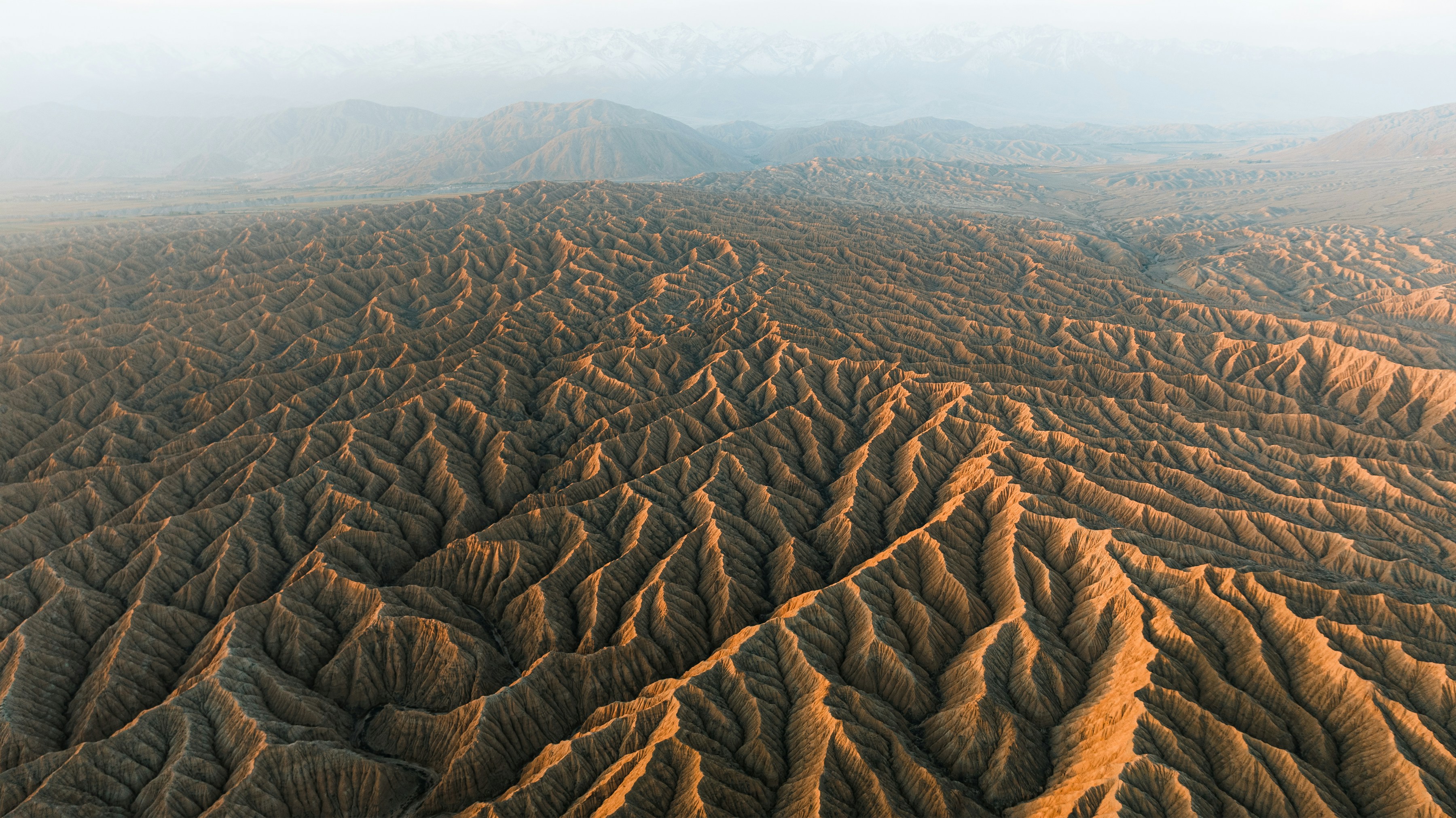 Signs Of Abdominal Hernia Pain In Men And Women: Important Differences