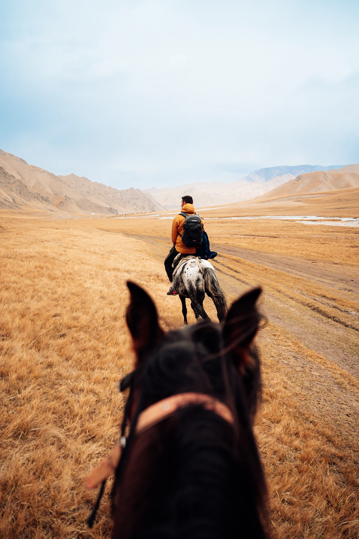 Horse trekking near Song-Kul