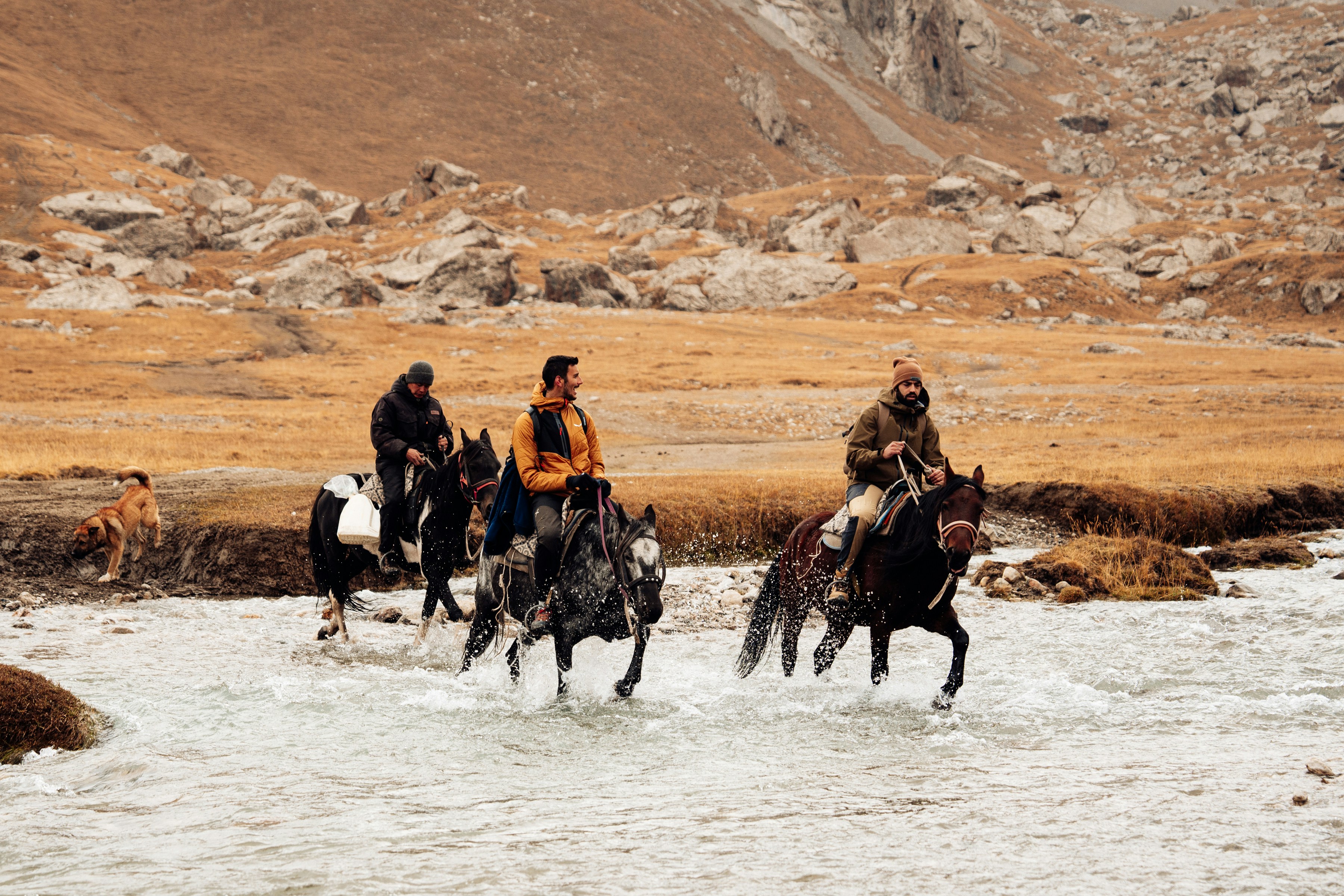 People riding horses through a shallow river.