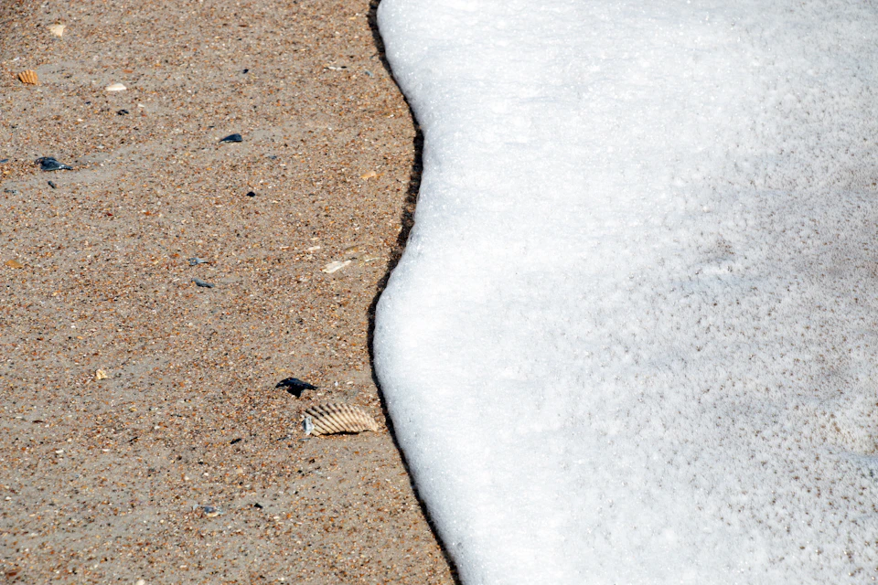 Sandy beach with contrasting calm and dynamic areas, including a submerged shell