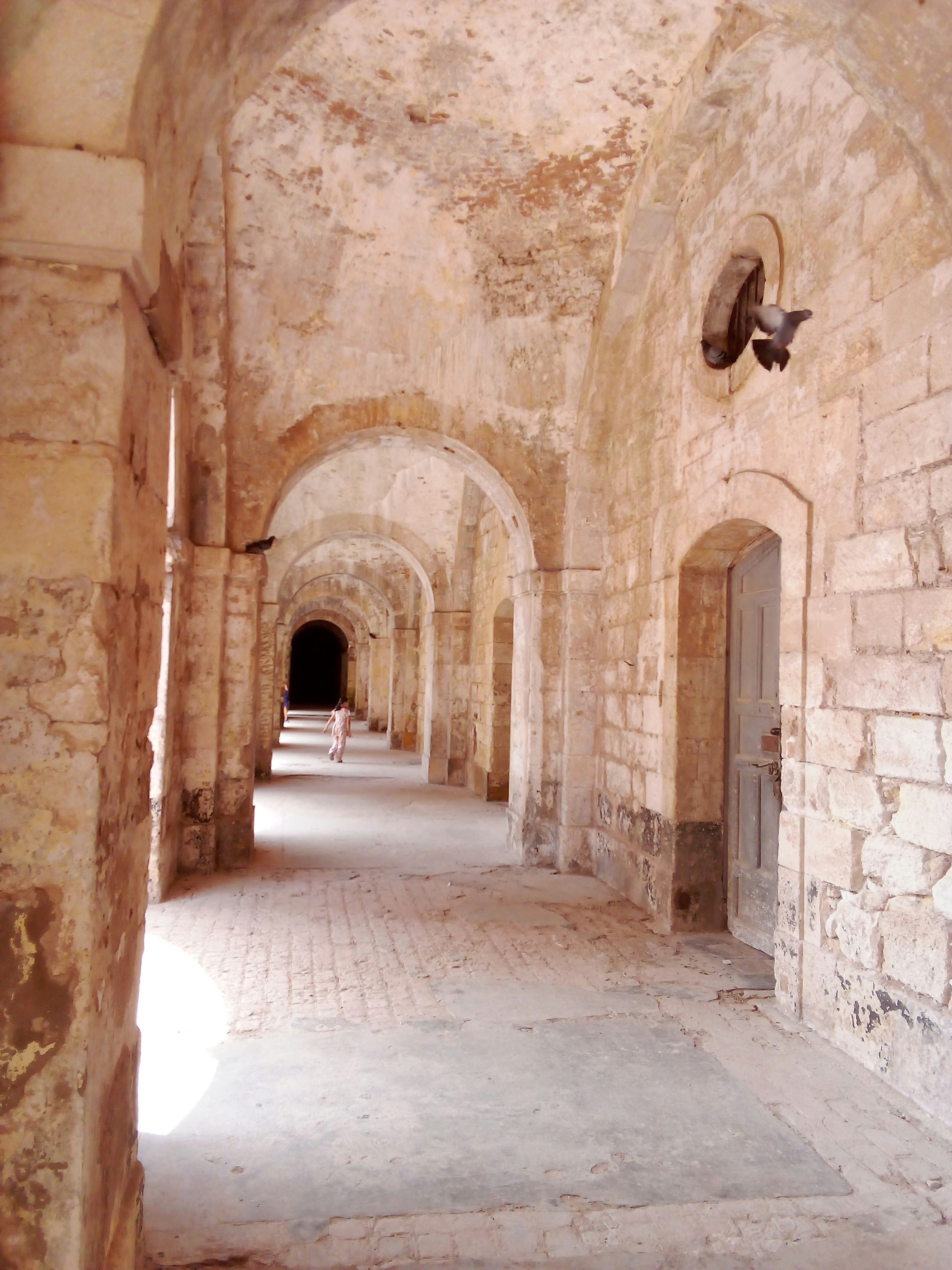 Photo by turiyadaisy