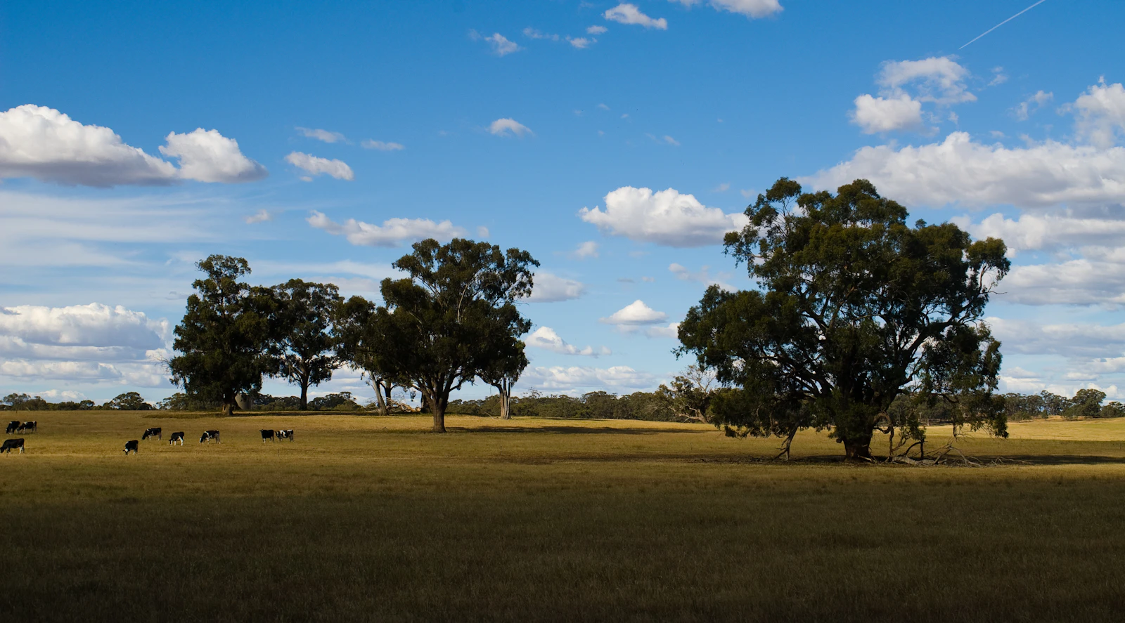 Illustrative travel image for Blayney to Rockley: a practical country day trip; it does not confirm current conditions at the named stops.