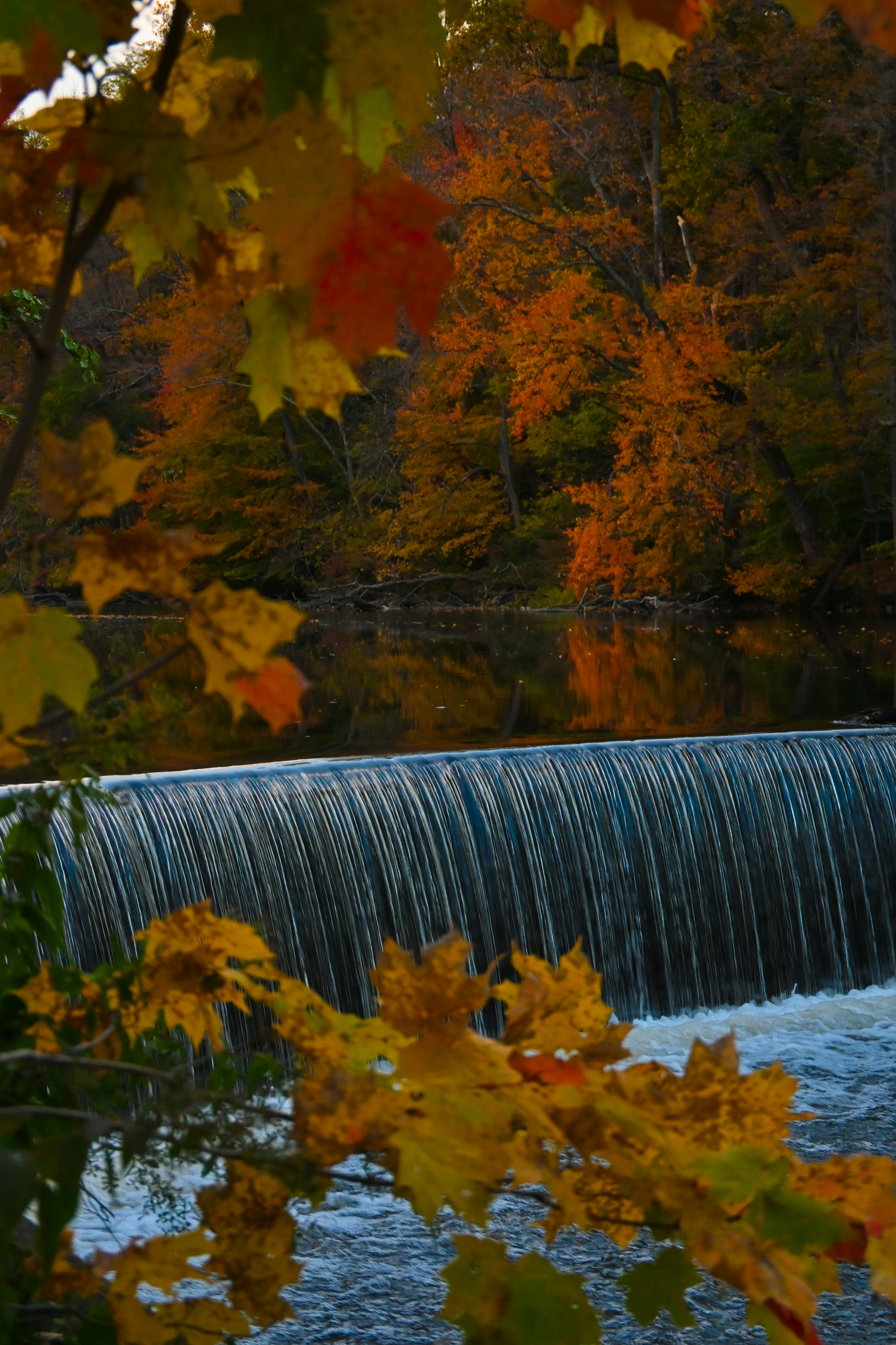 Photo by asphotographypics