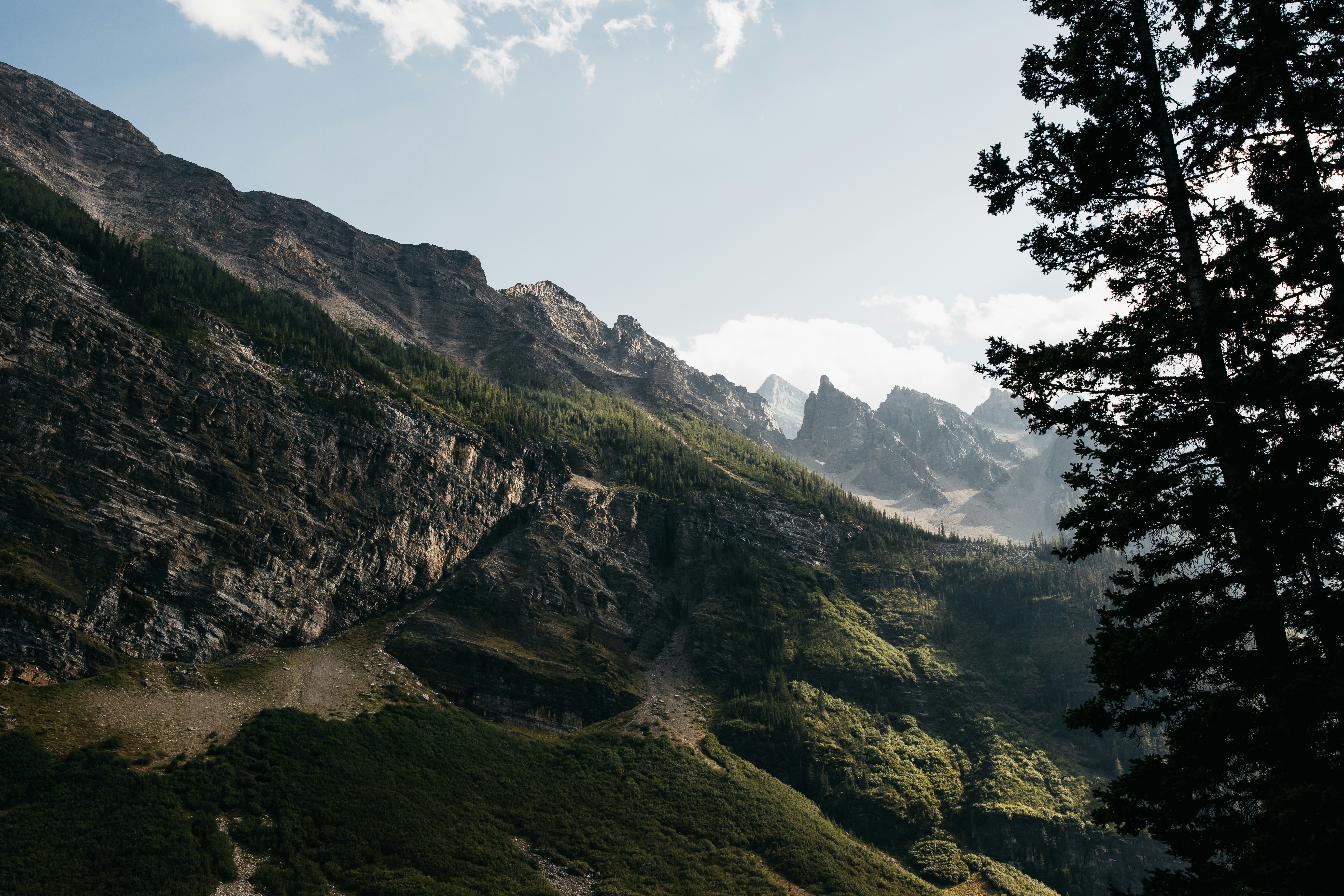 Photo by shotfromdeep