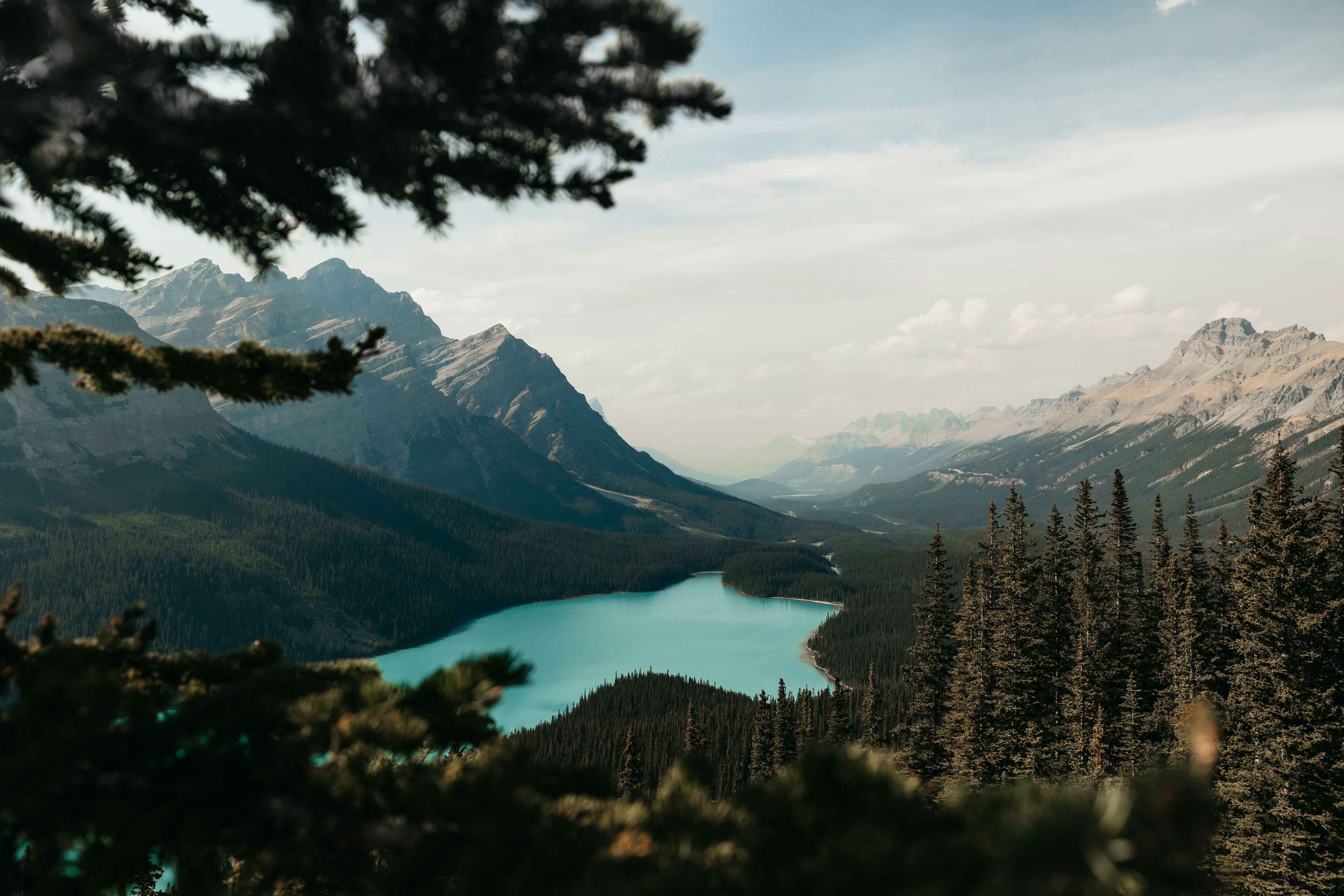 Go On Reviewing To Reveal The Critical Actions And Insights That Will Certainly Ready You For Your Initial Functional Rheumatology Go To