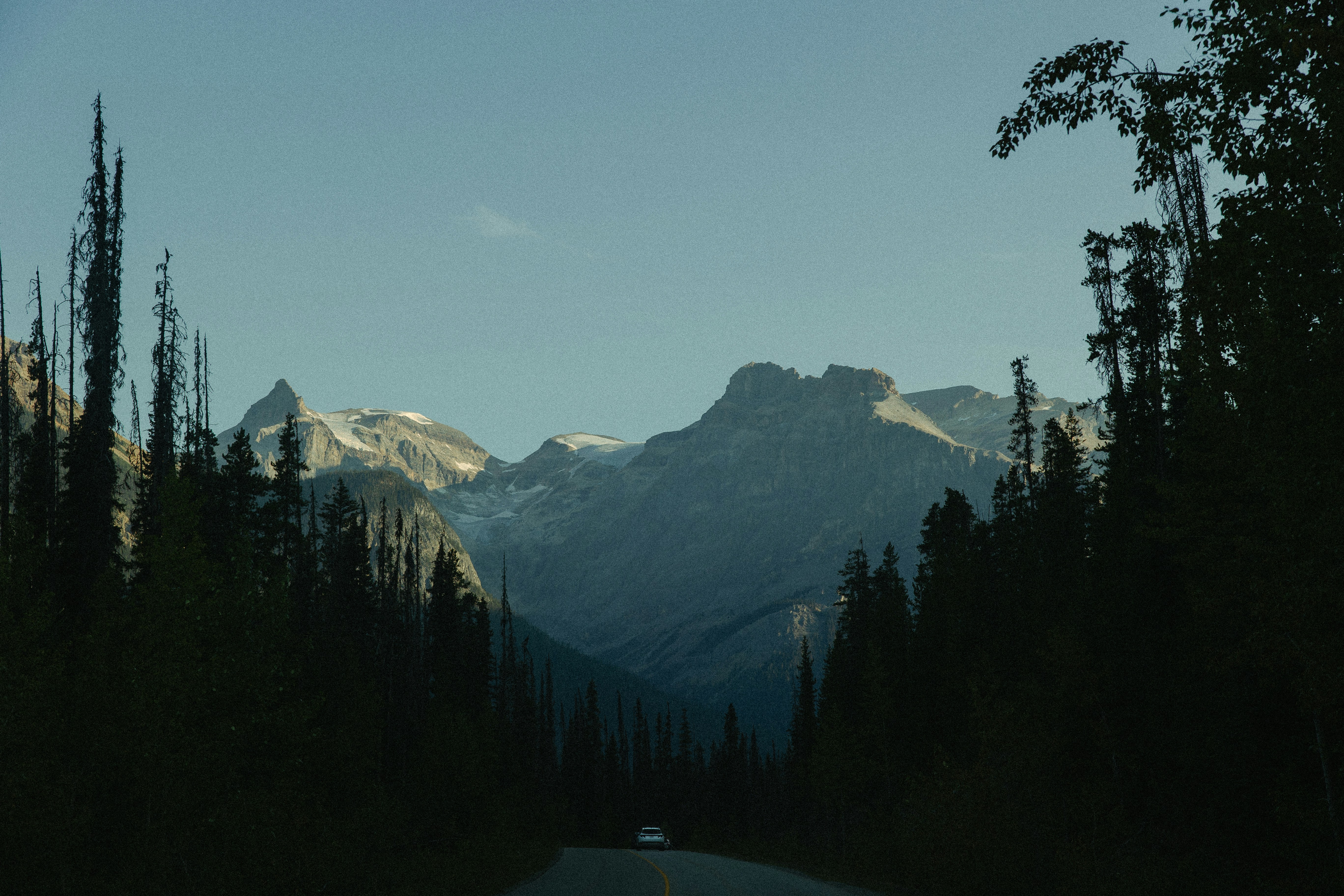 Functional Rheumatology And Exercise: Safe Techniques For Pain Relief