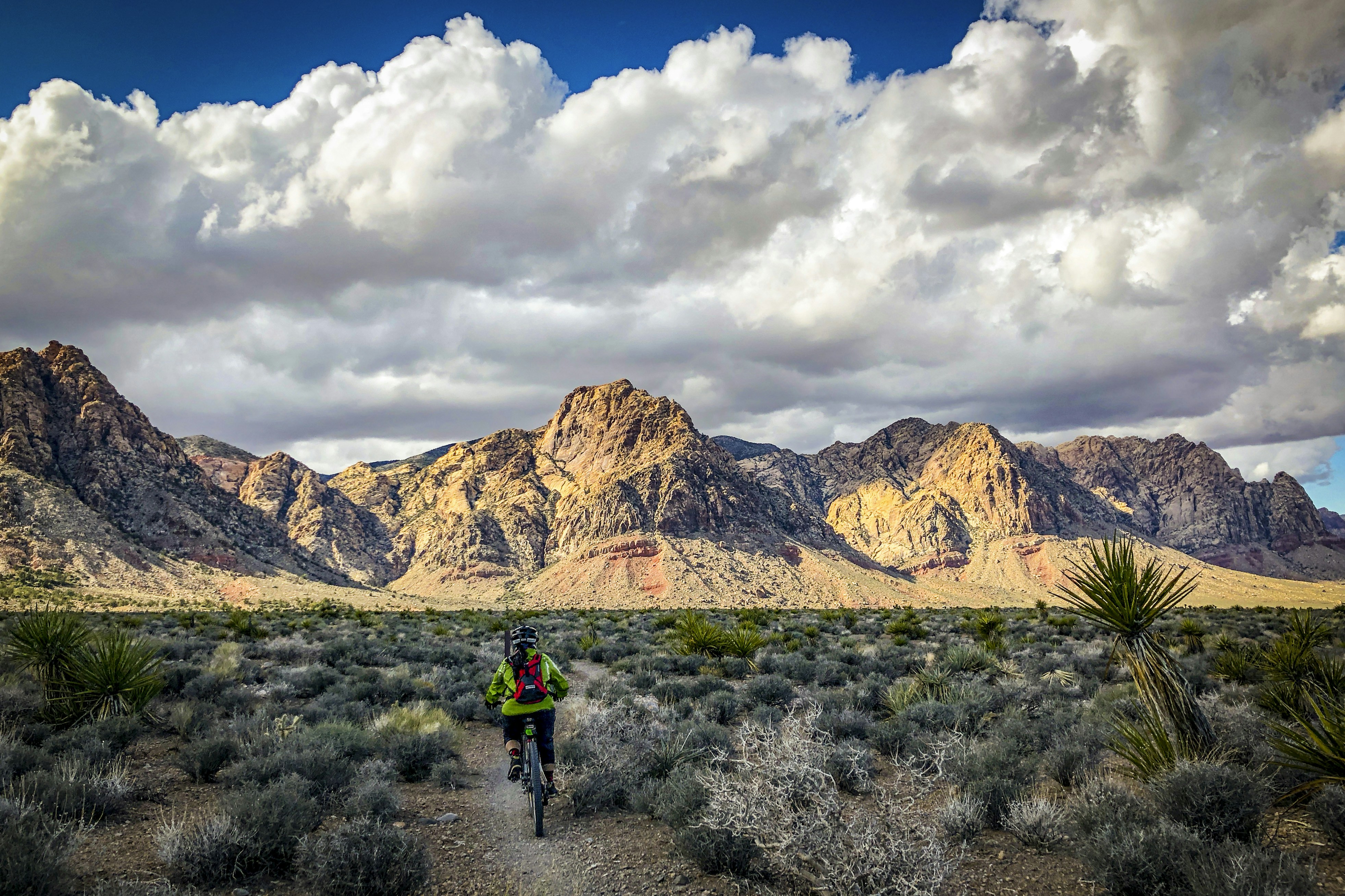 Mountain biker rides through desert landscape with mountains.