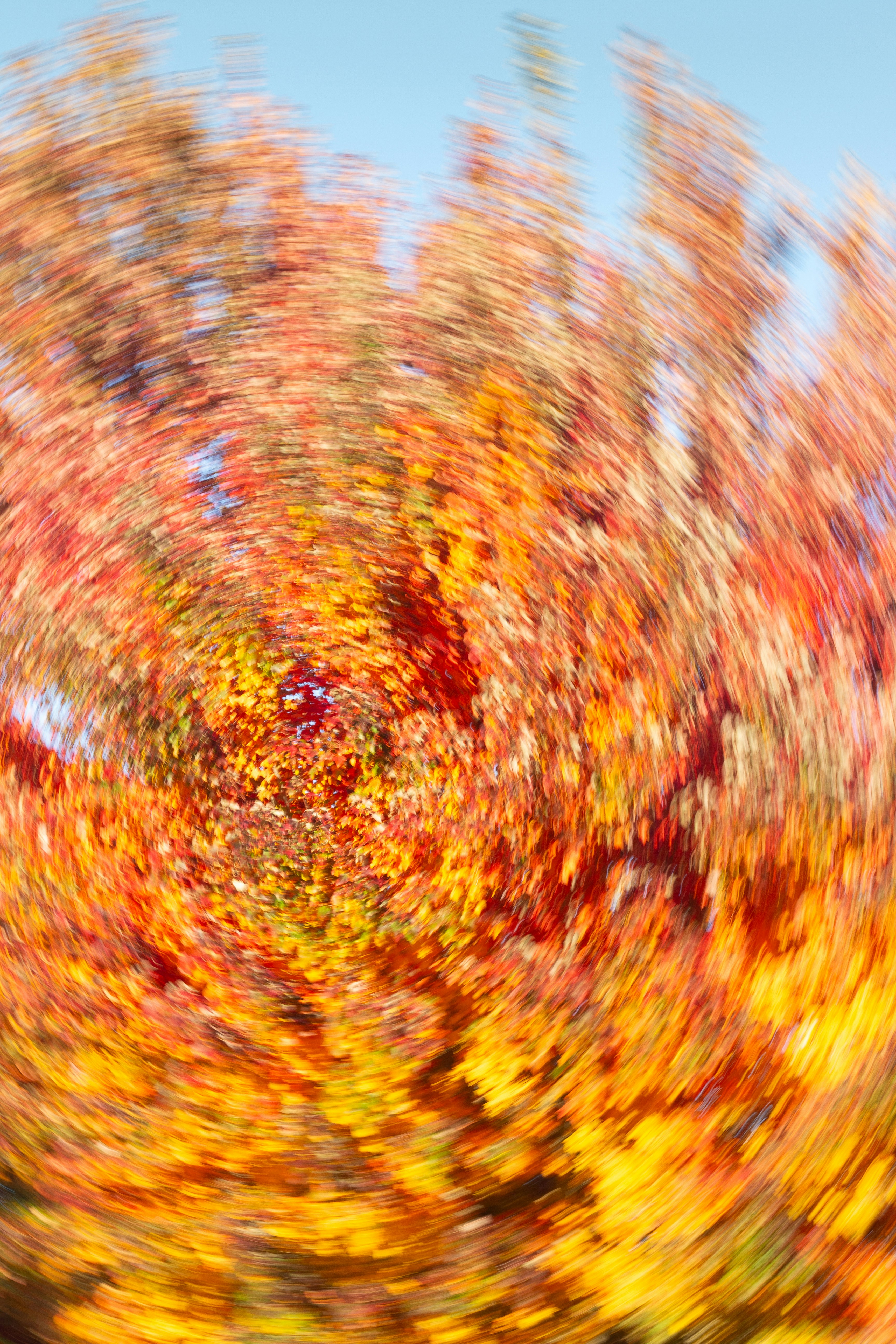 Abstract swirling autumn leaves against blue sky