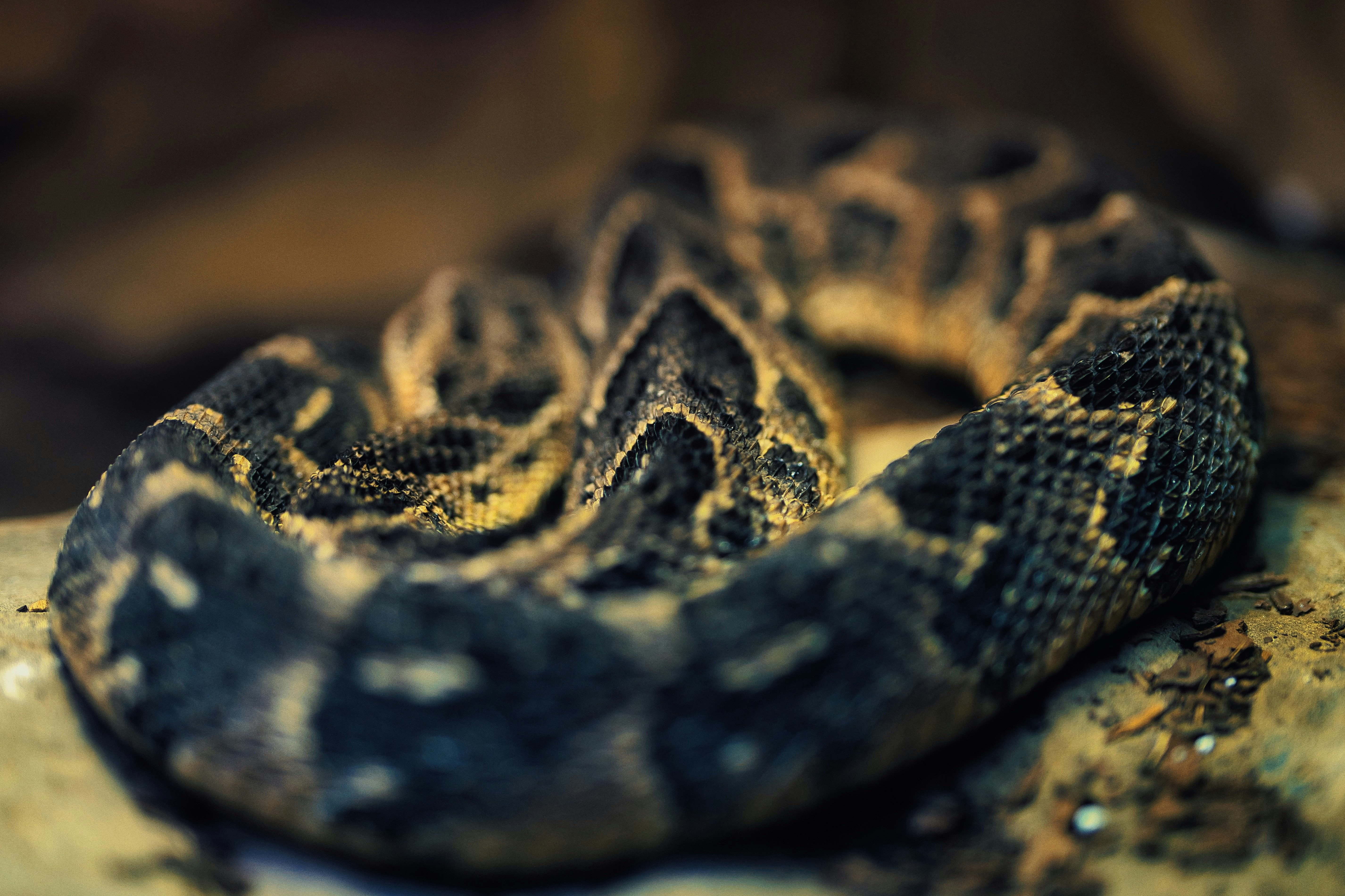 Photo by jadonbarnes