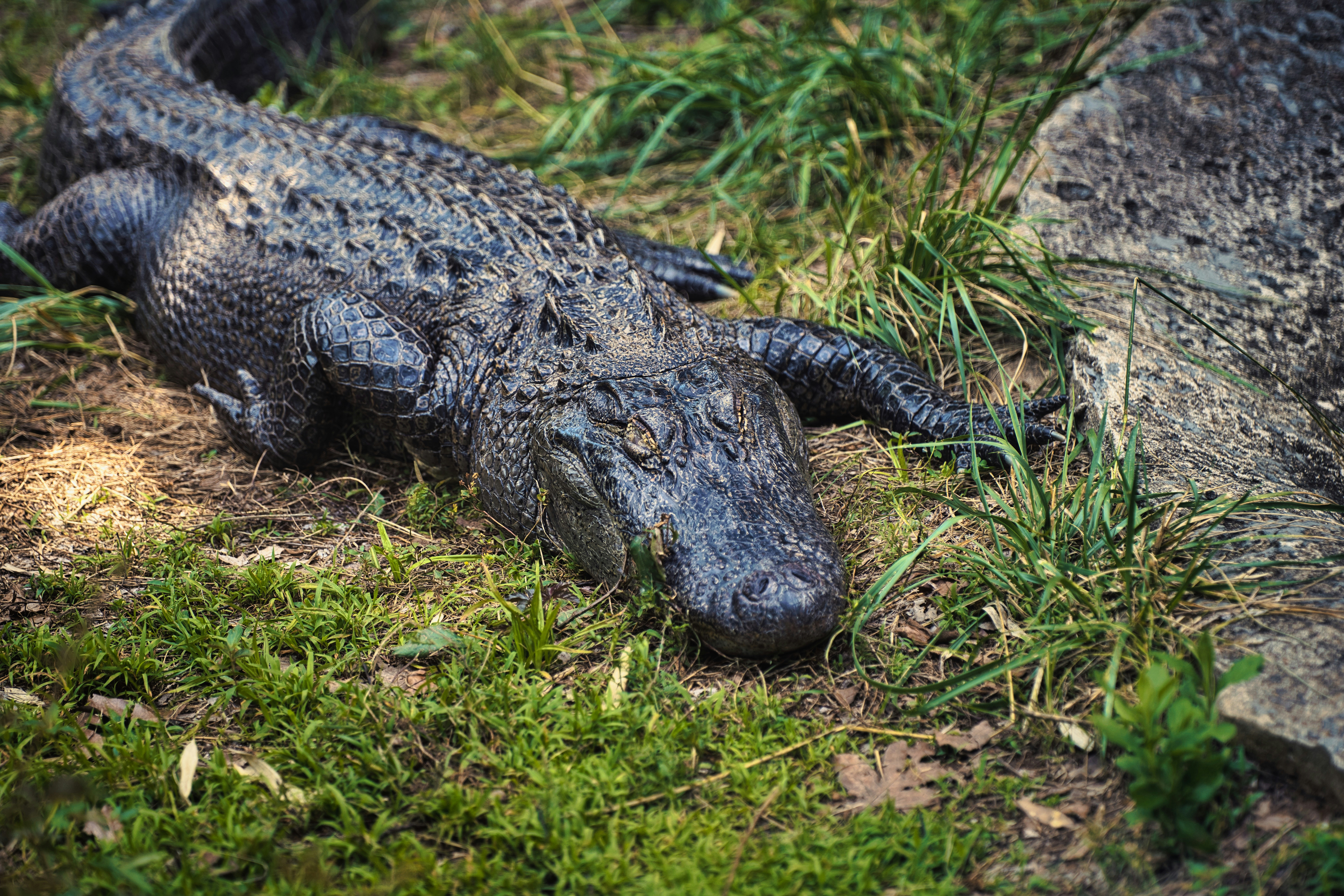 Photo by jadonbarnes