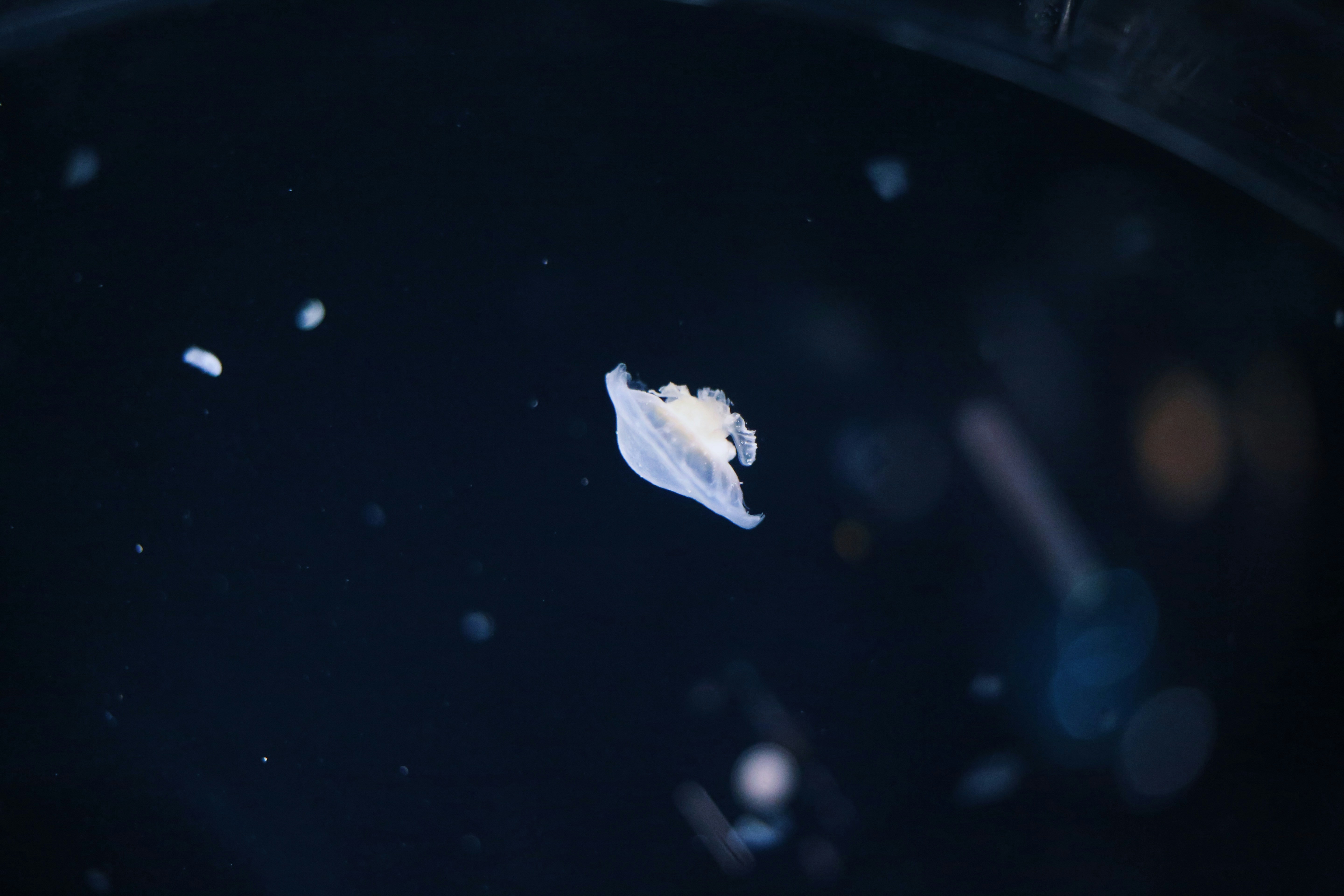 Photo by sophia70307