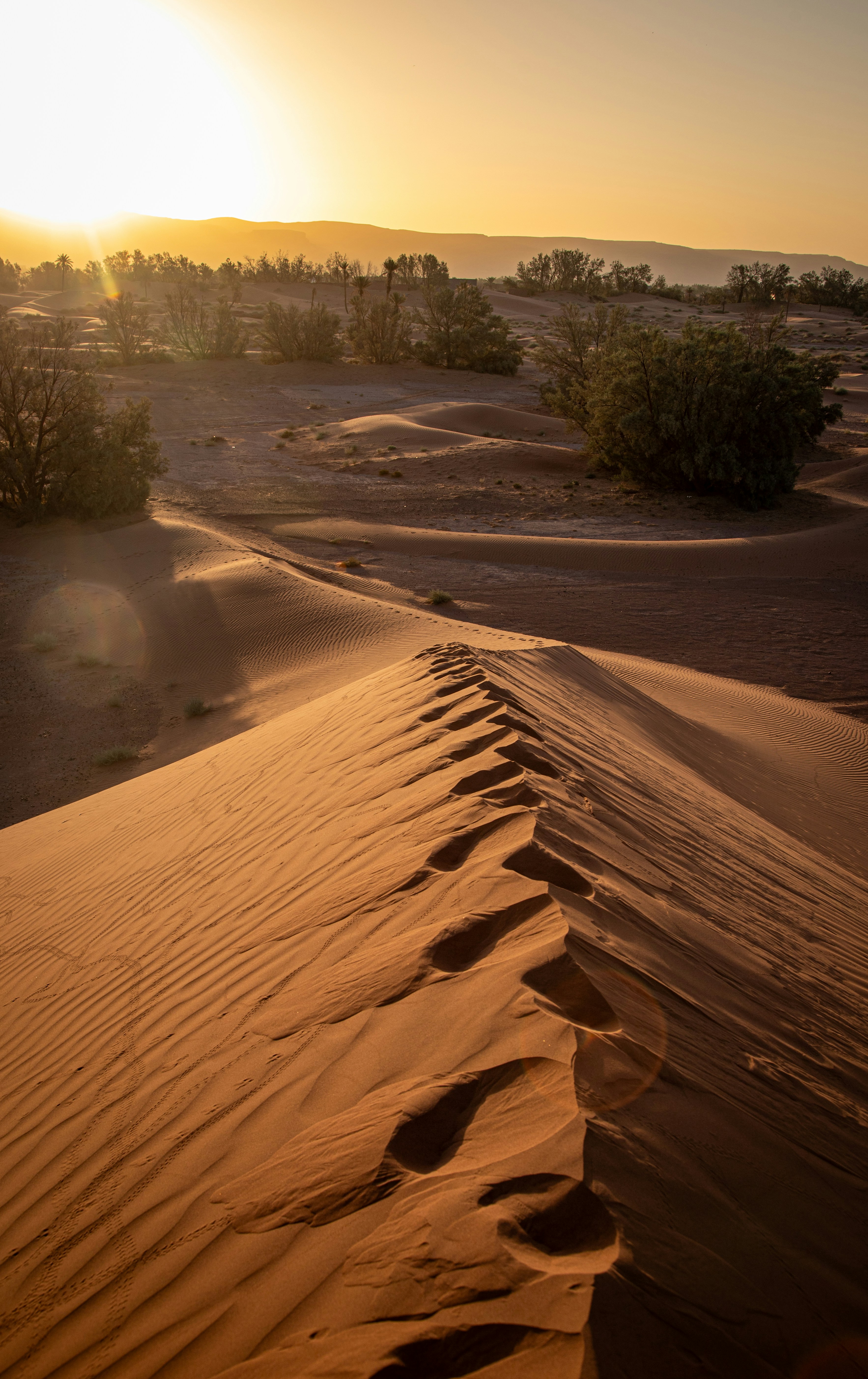 desert landscape serenity, wallpaper, Hikmah Strategis Perjanjian Hudaibiyah 2
