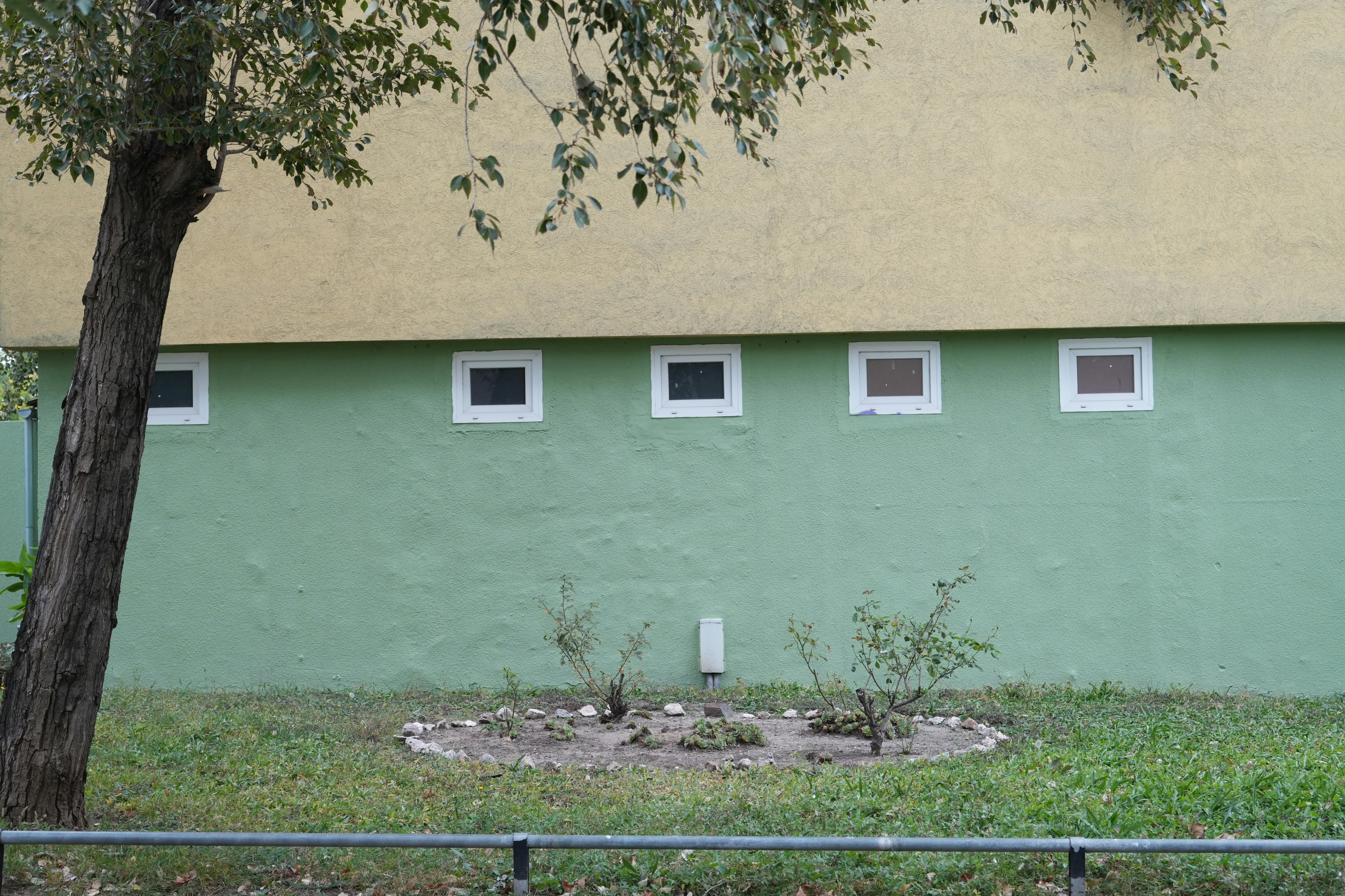 Green wall with small square windows and a tree