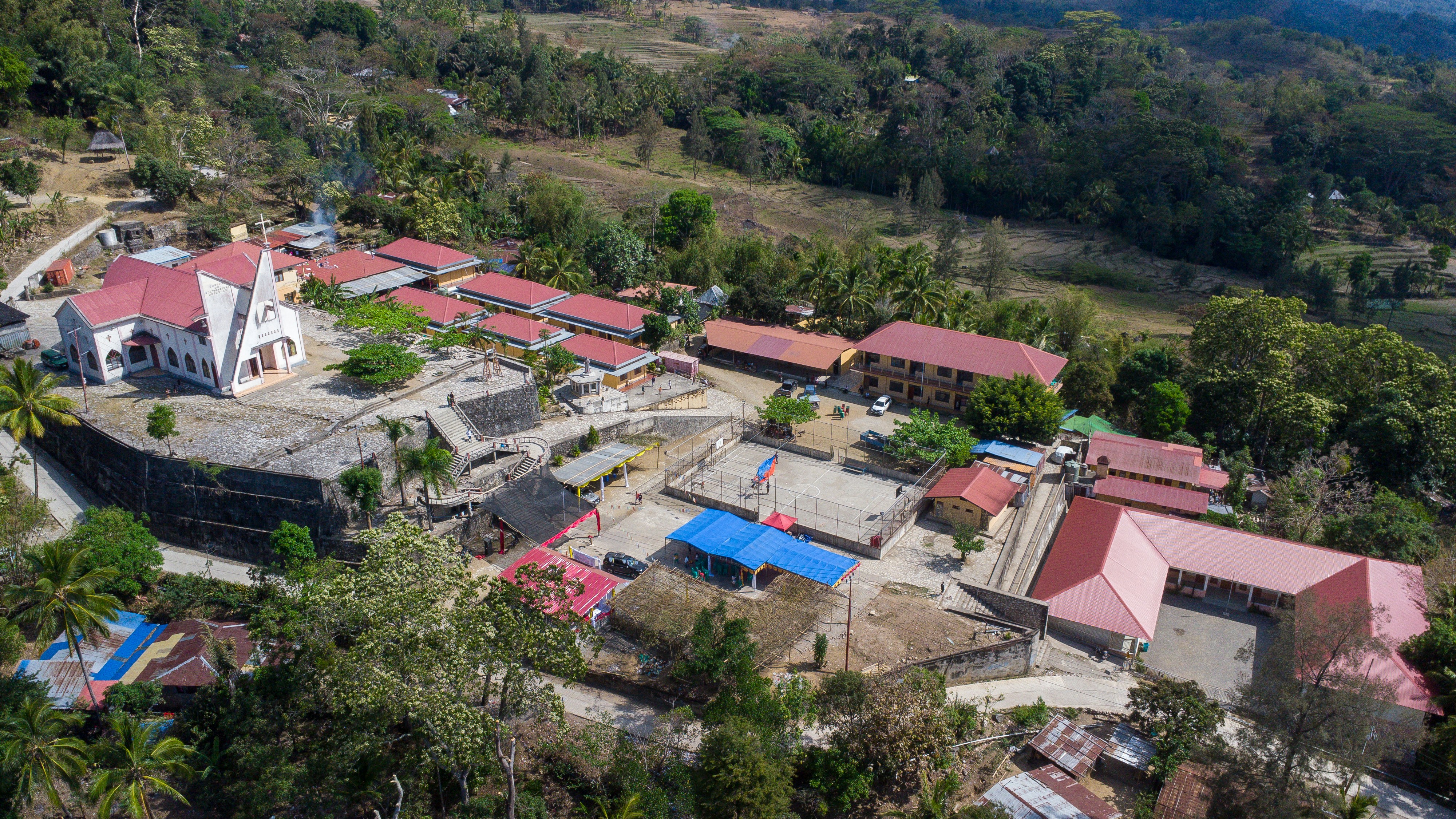 Aerial view of a village with buildings and trees