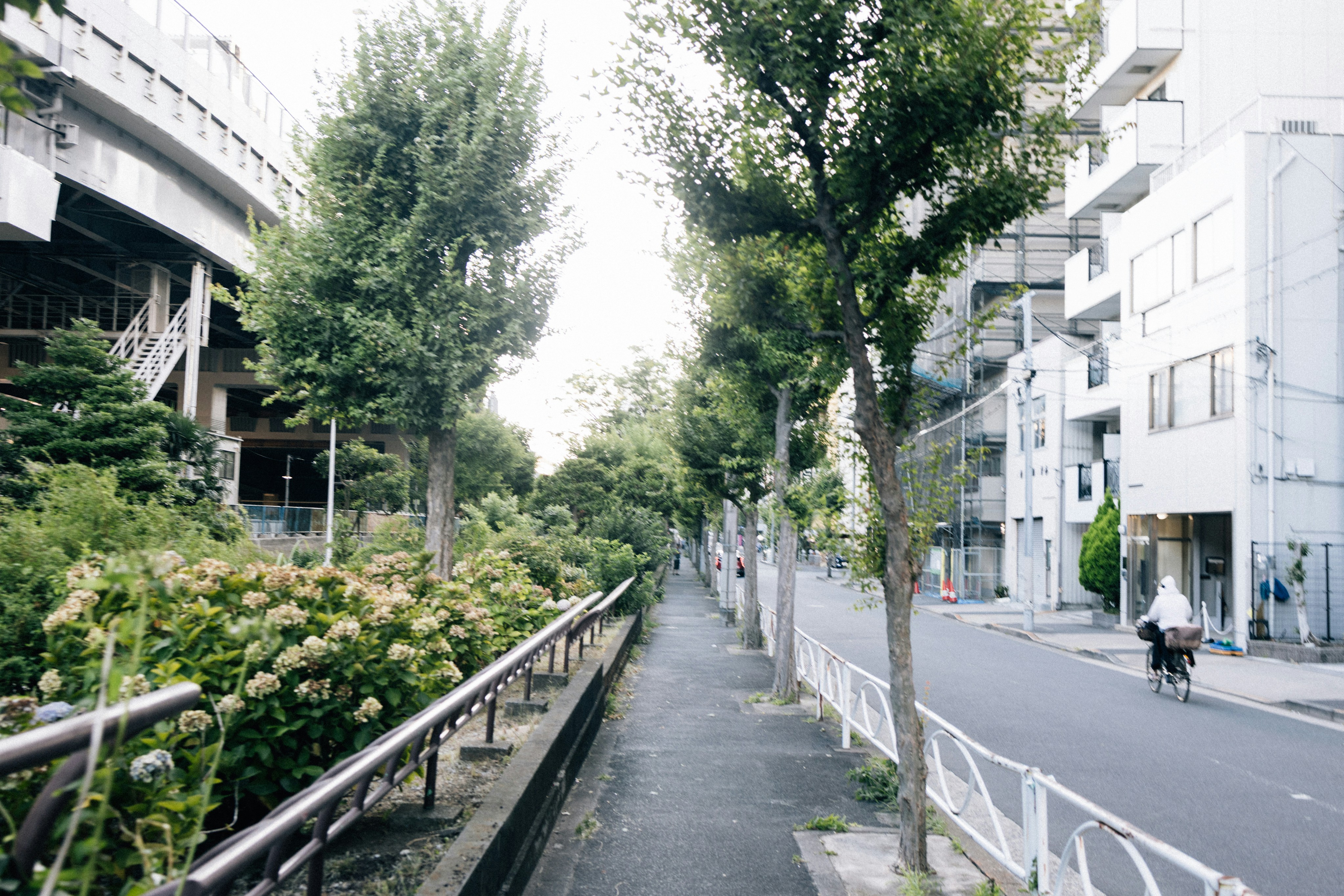 Photo by tsuyoshikozu