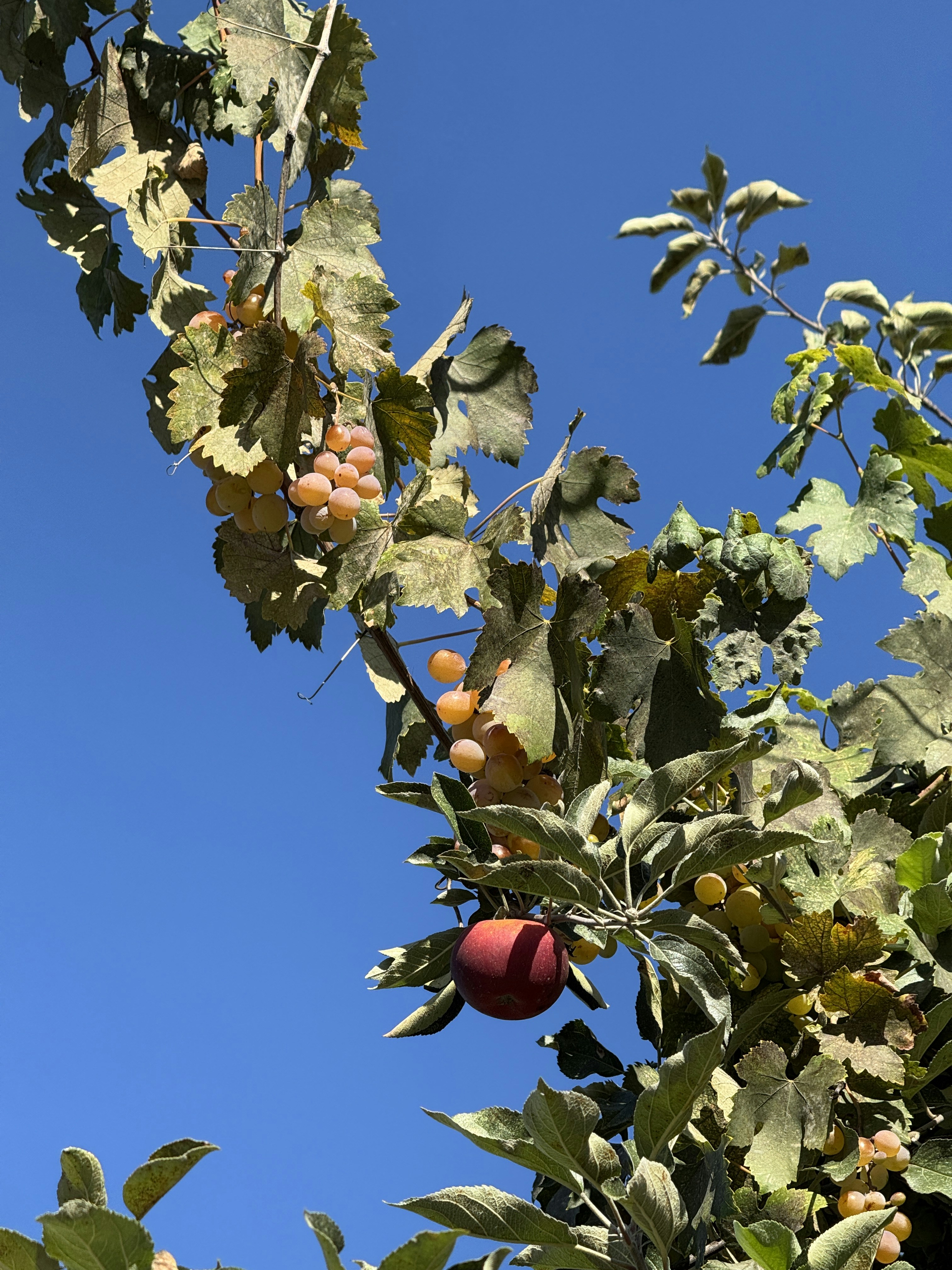 Photo by vikadavidart