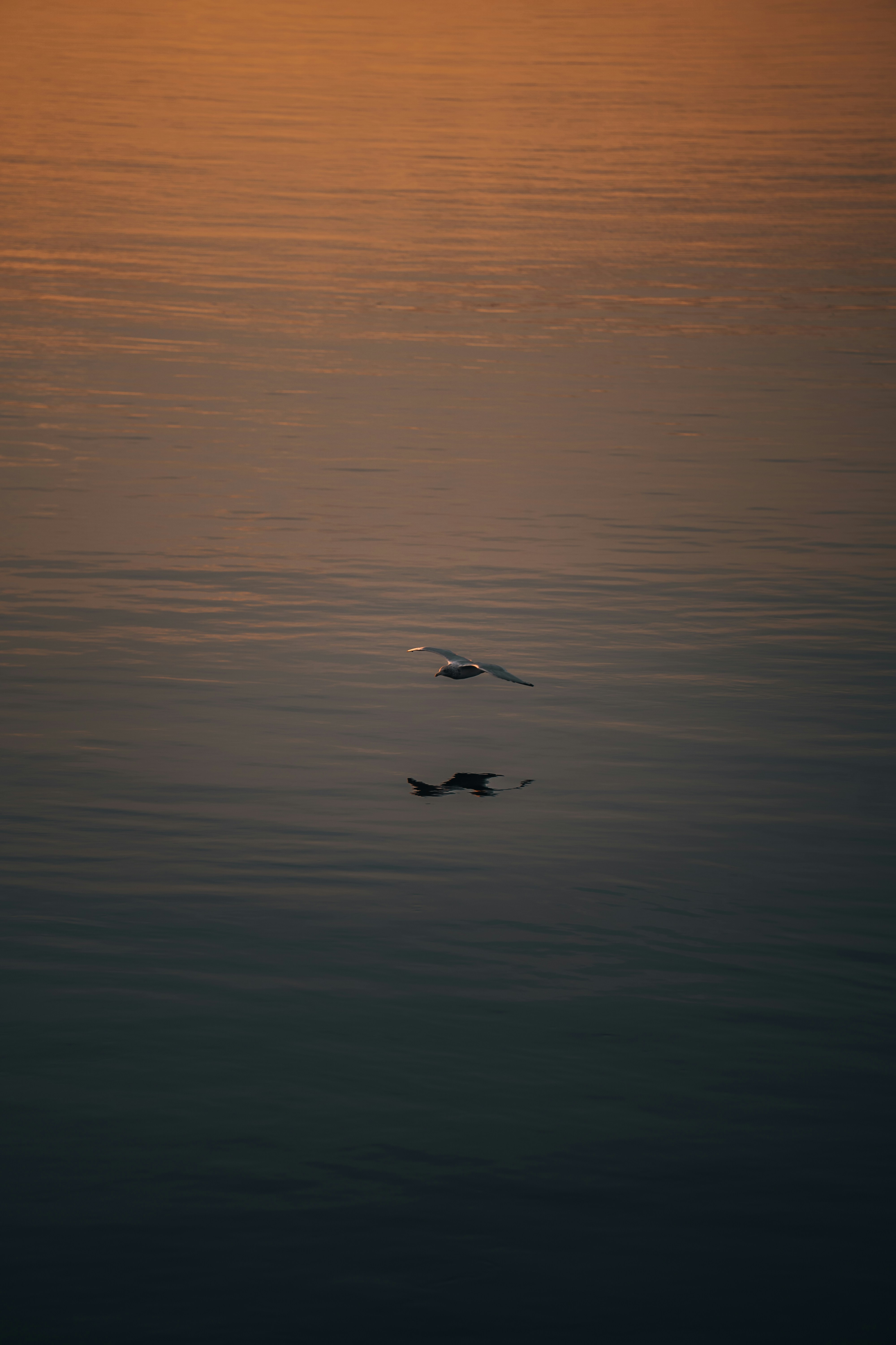 Photo by benjamin_photo_lab